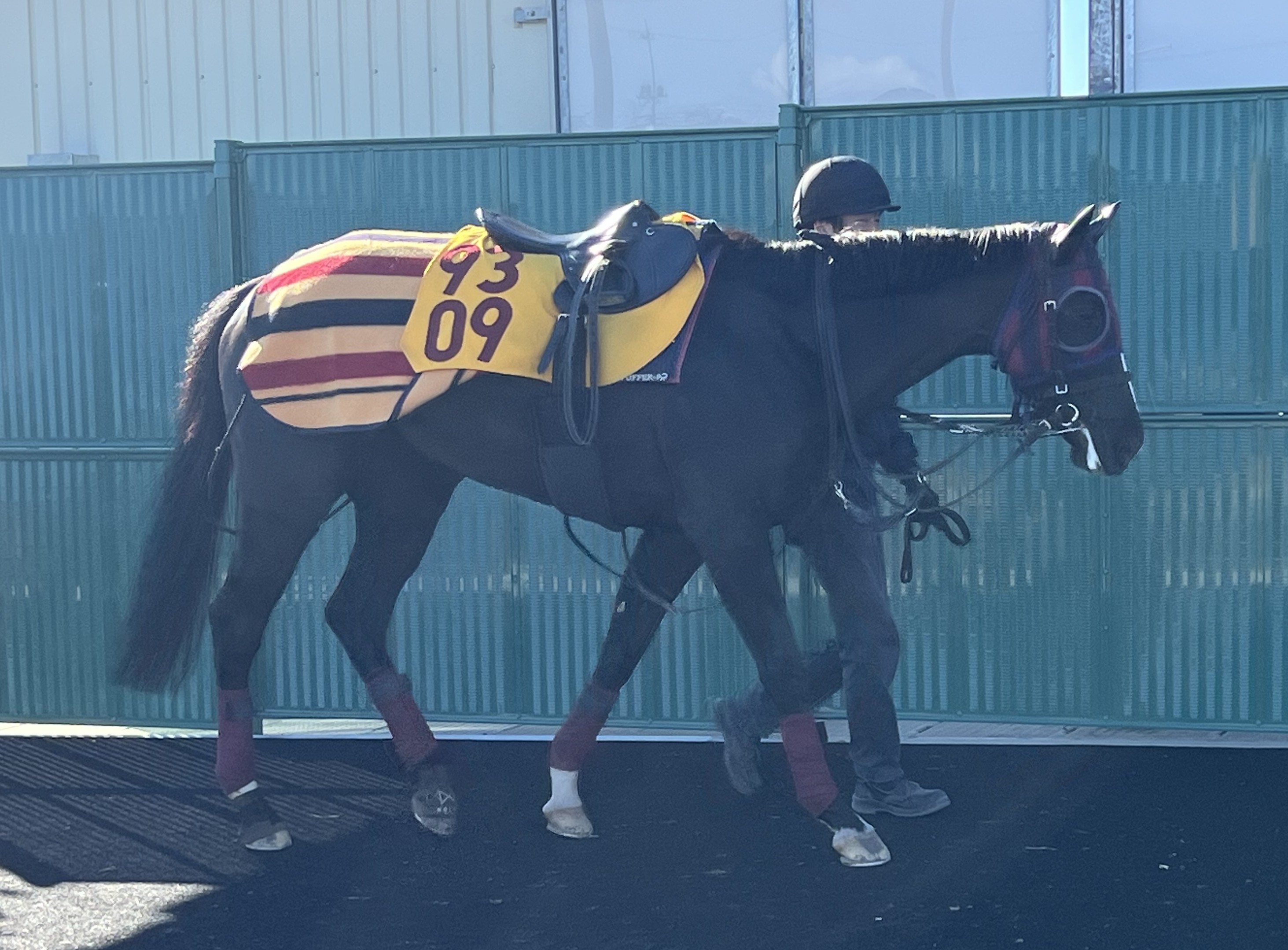 画像サムネイル