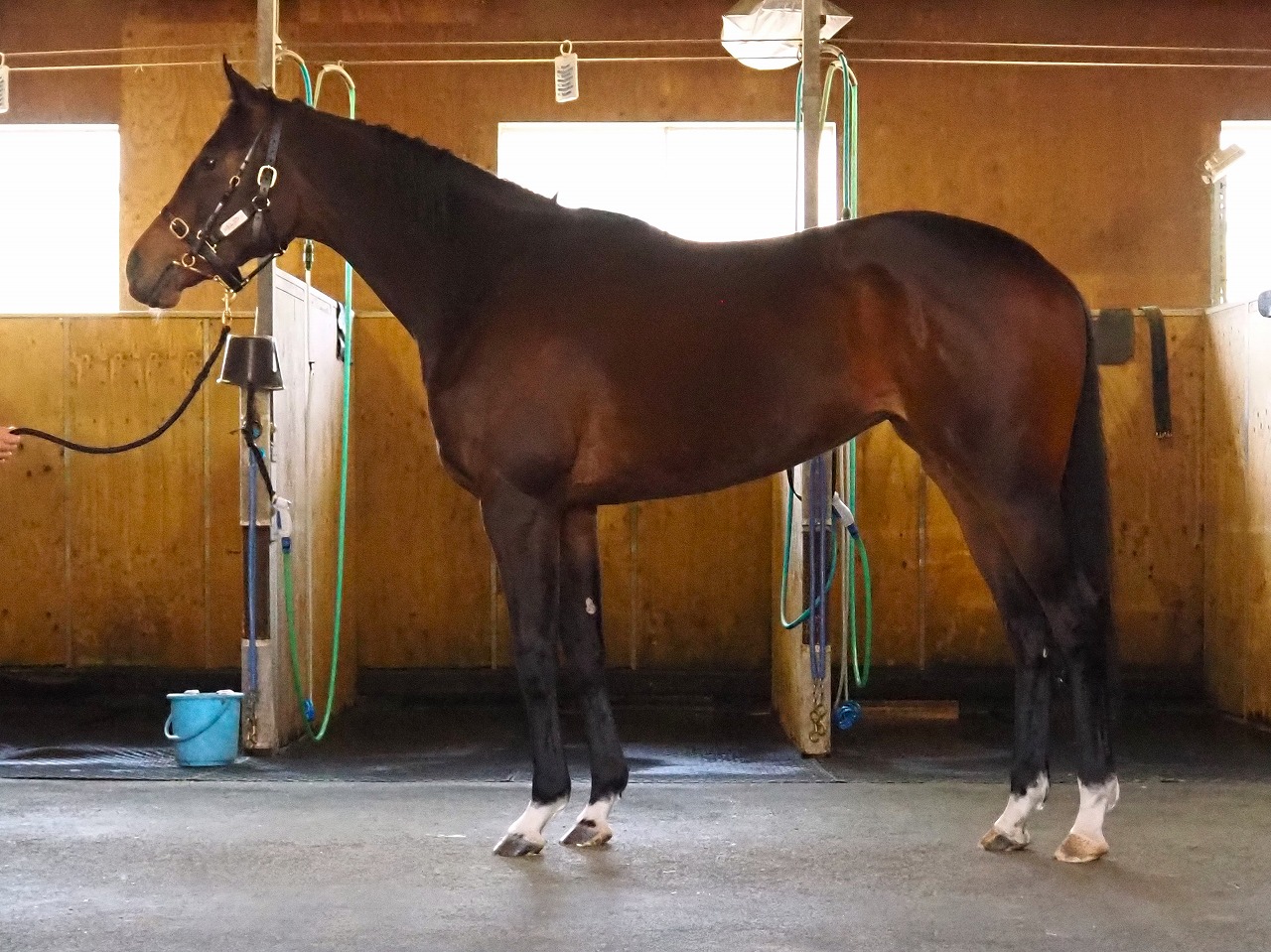 画像サムネイル