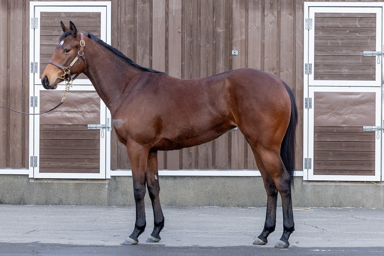 画像サムネイル