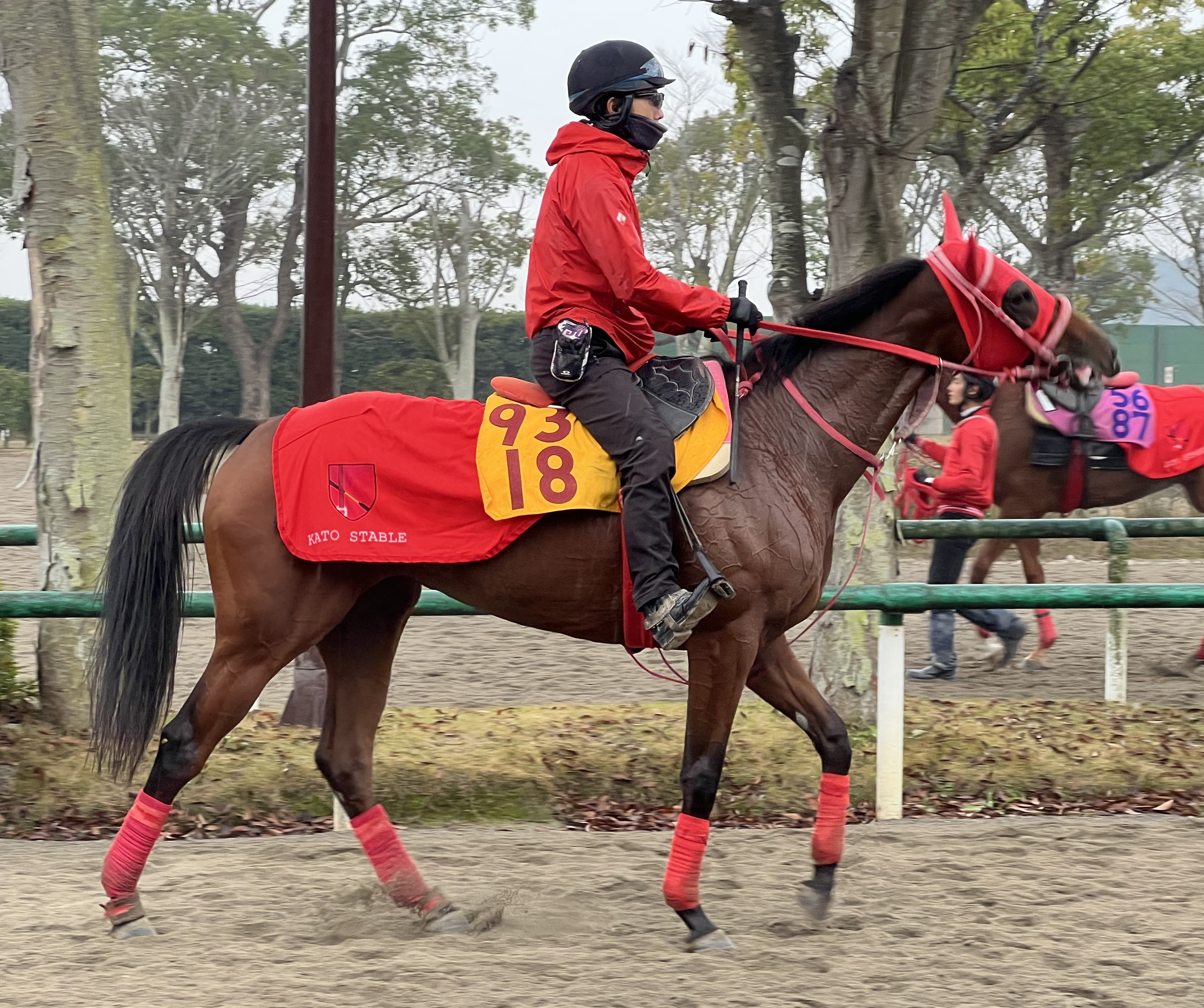 画像サムネイル