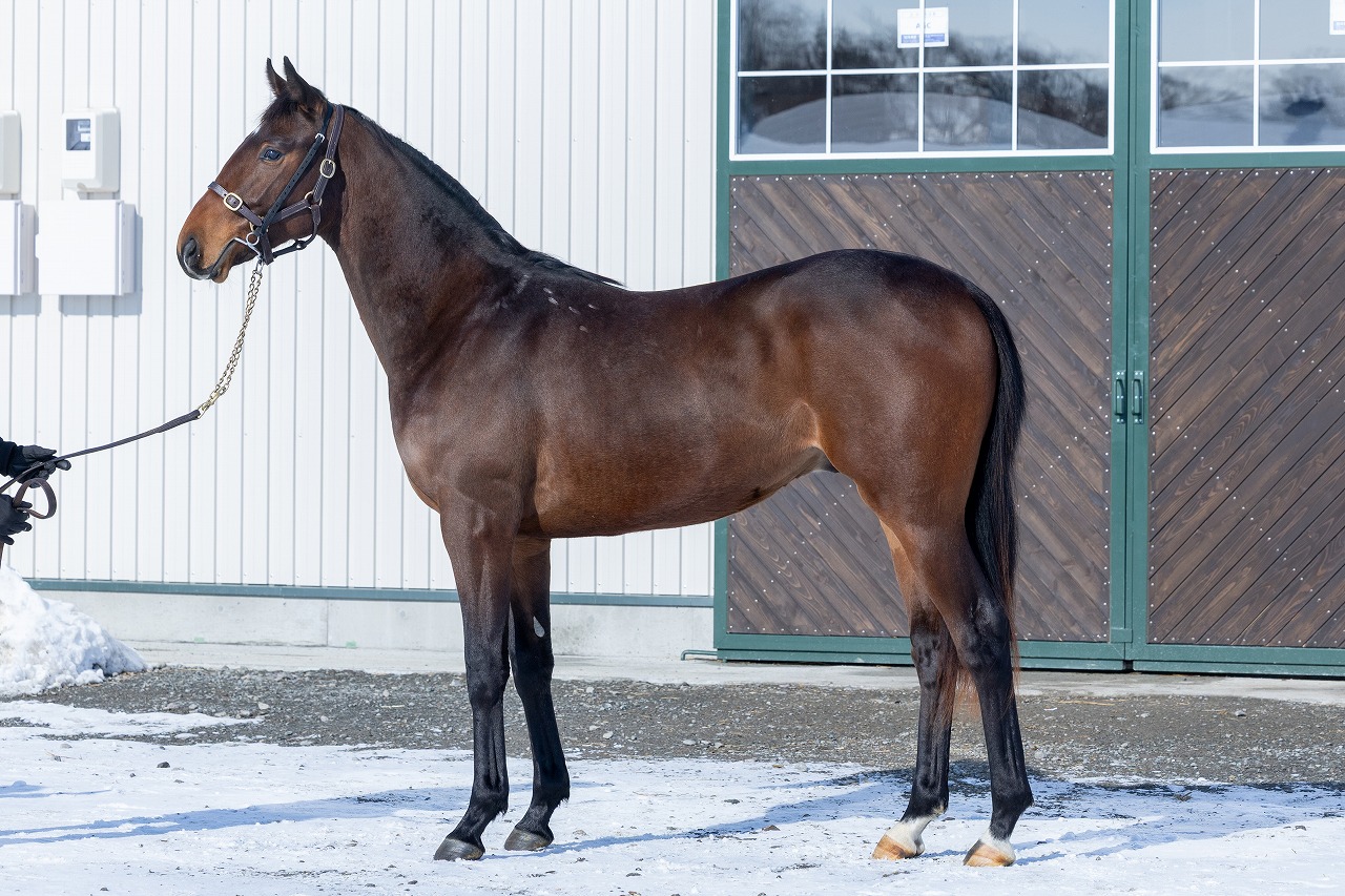 画像サムネイル