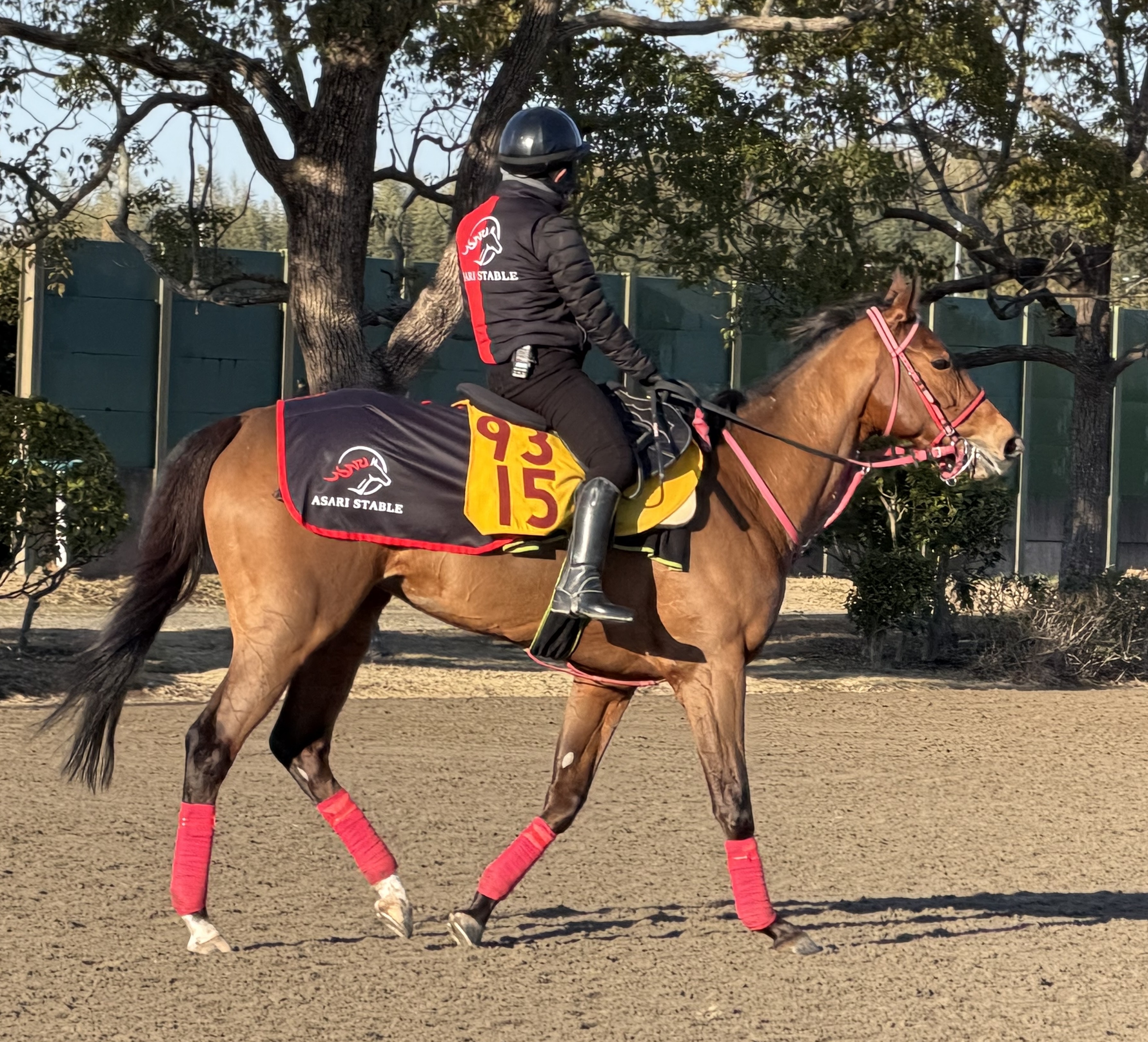 画像サムネイル