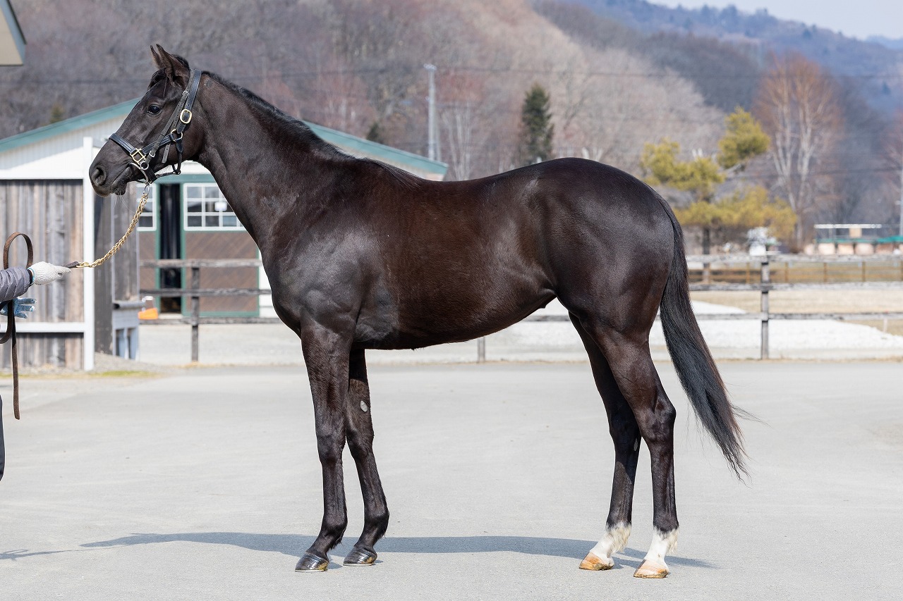 画像サムネイル