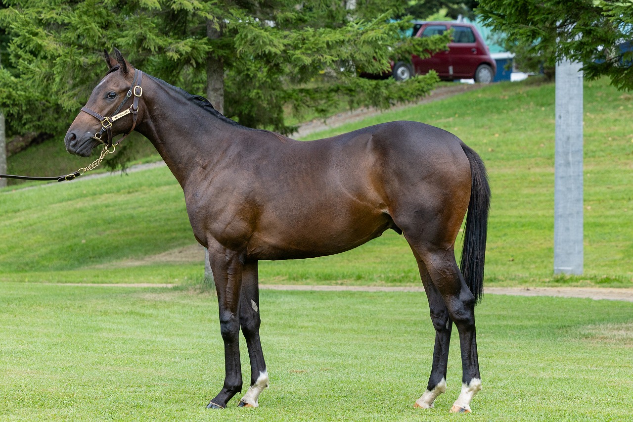 画像サムネイル