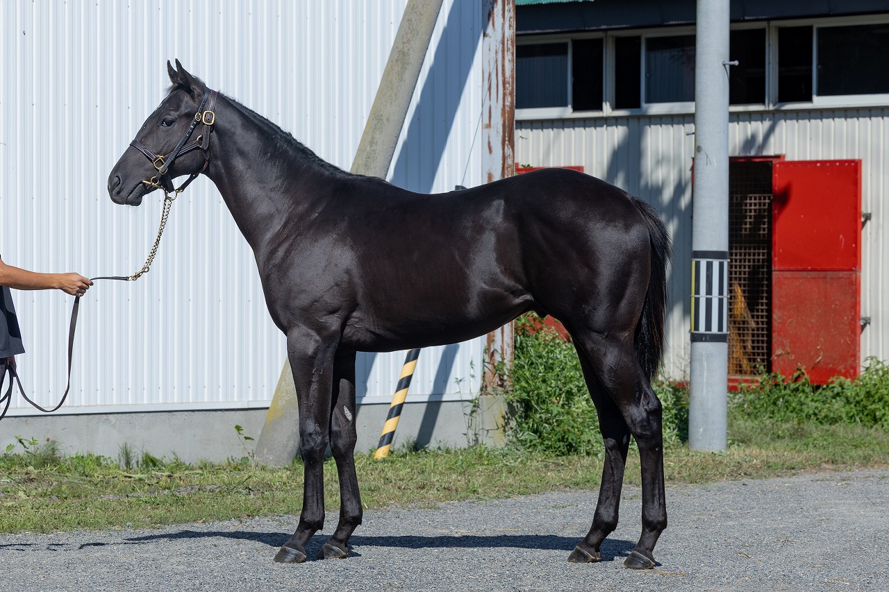 画像サムネイル