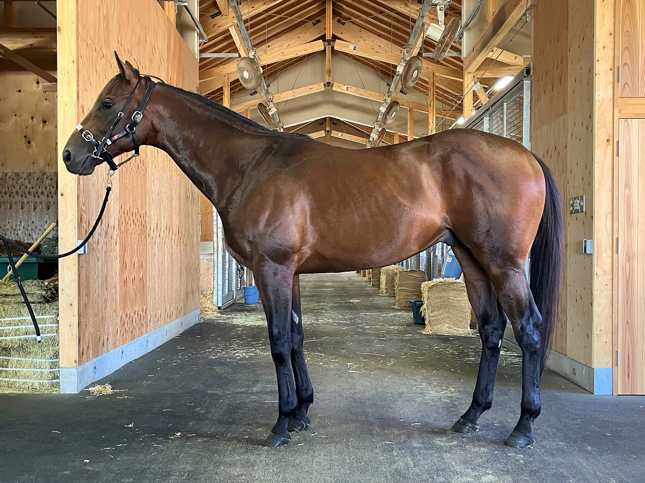 画像サムネイル