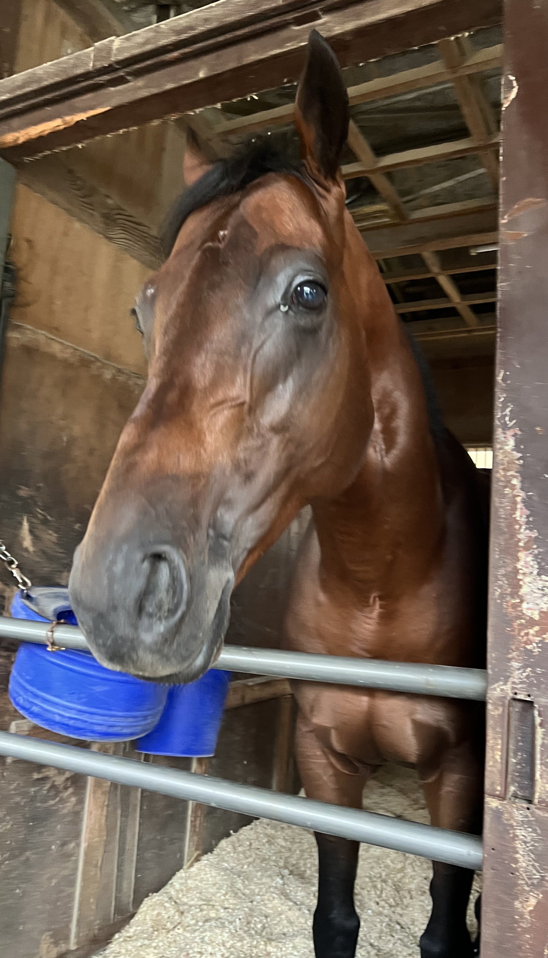 画像サムネイル