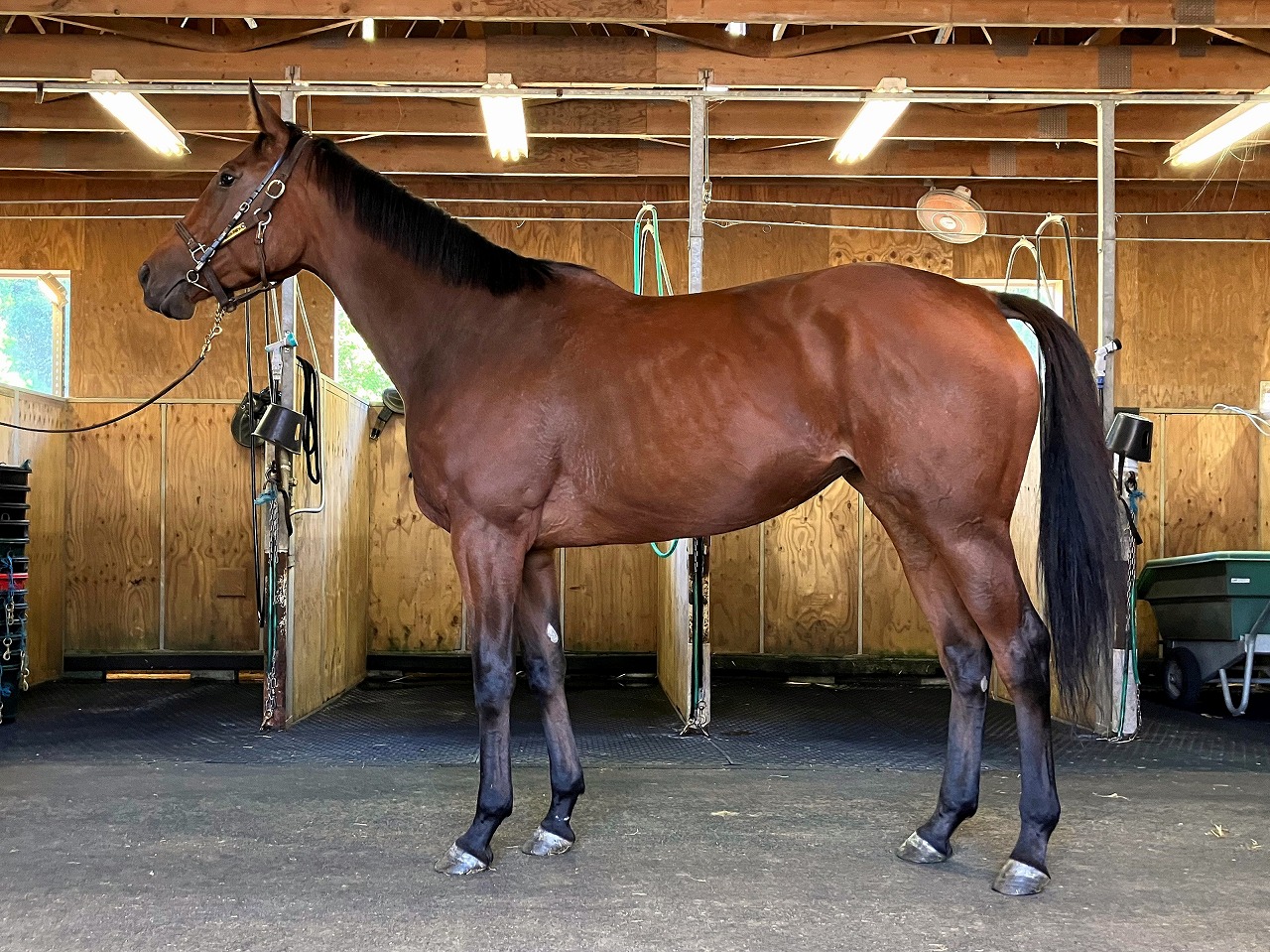 画像サムネイル