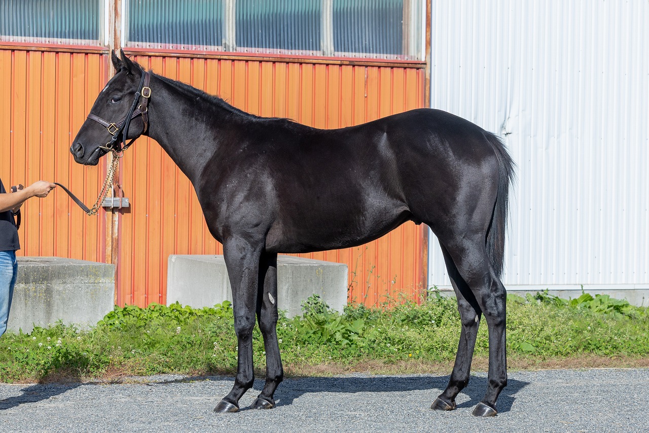 画像サムネイル