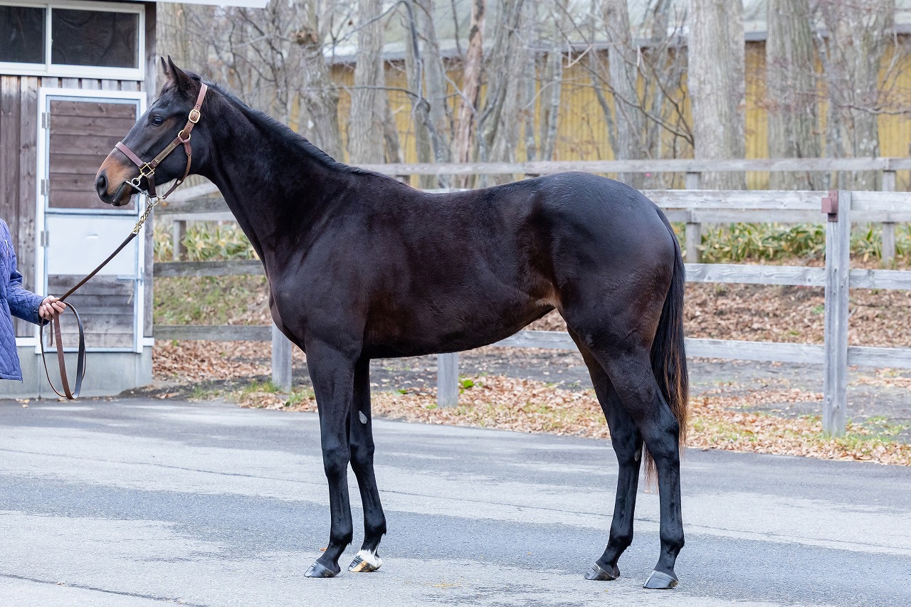 画像サムネイル