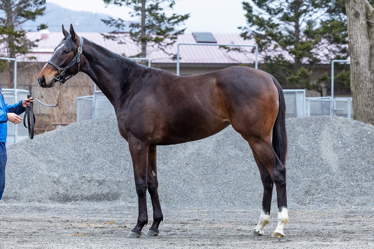 画像サムネイル