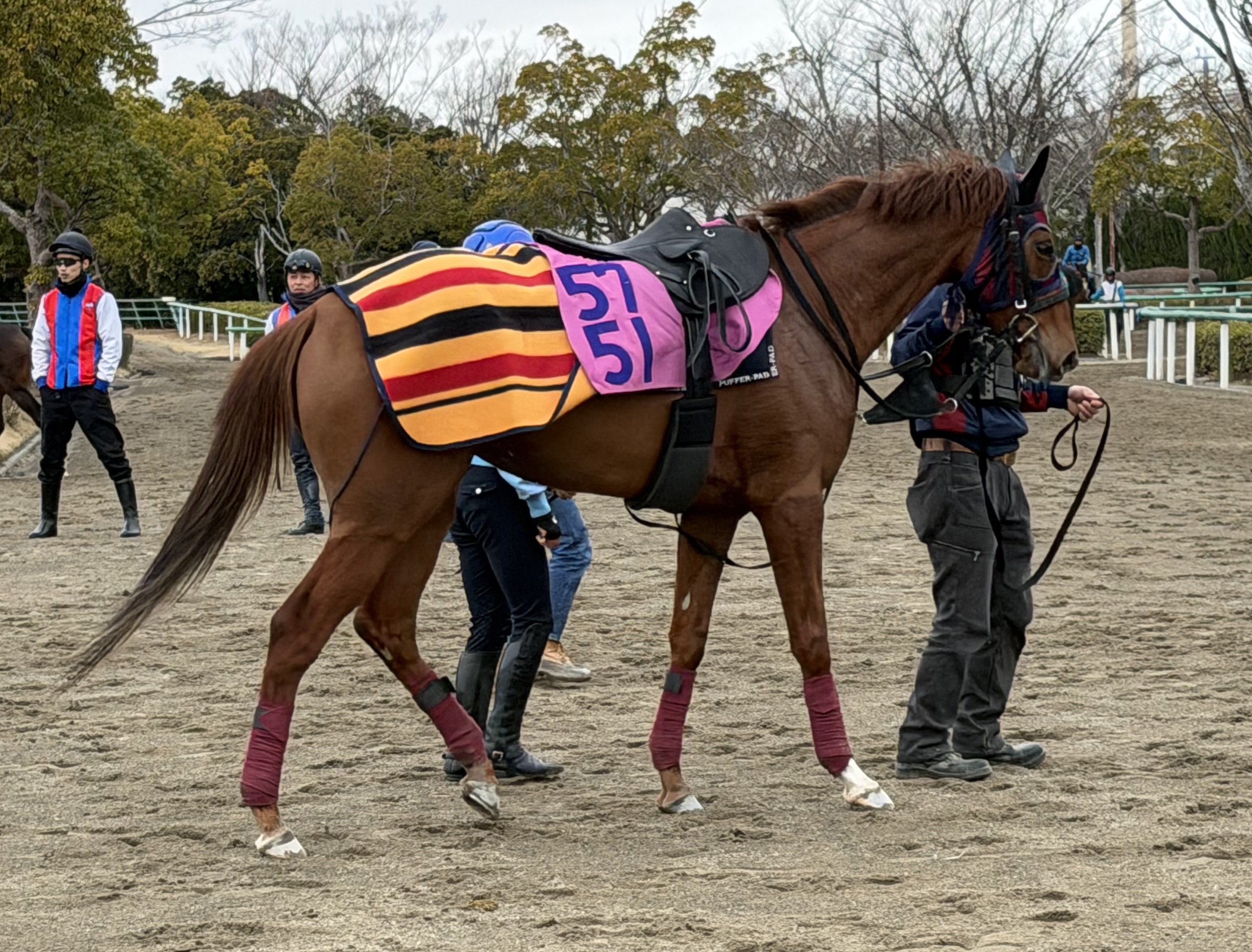 画像サムネイル