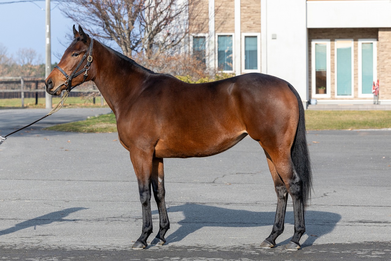 画像サムネイル