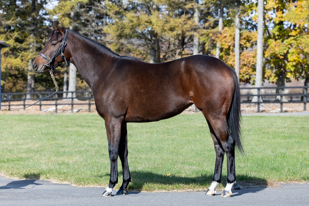 画像サムネイル