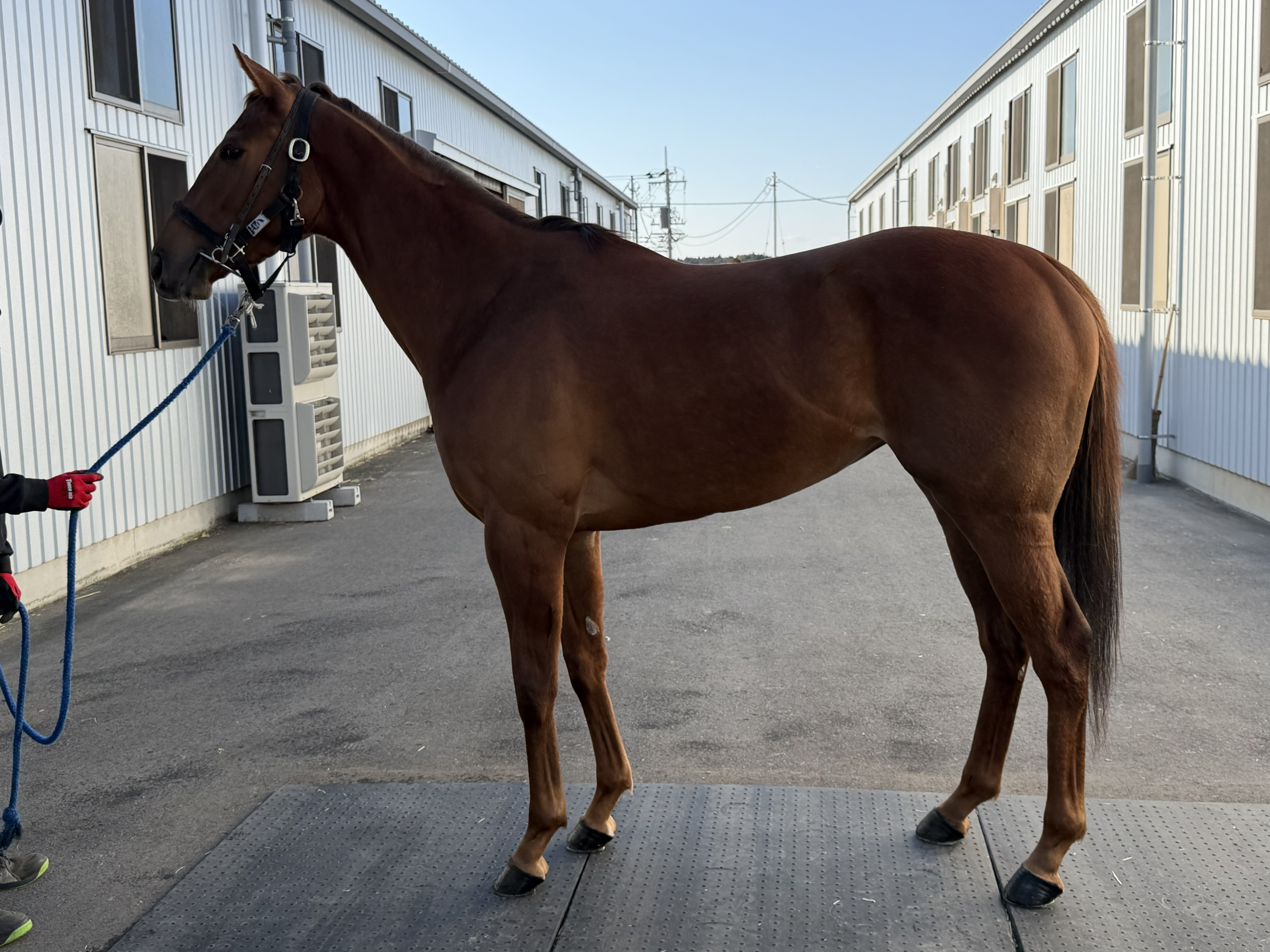 画像サムネイル