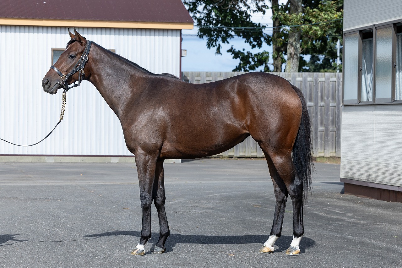 画像サムネイル