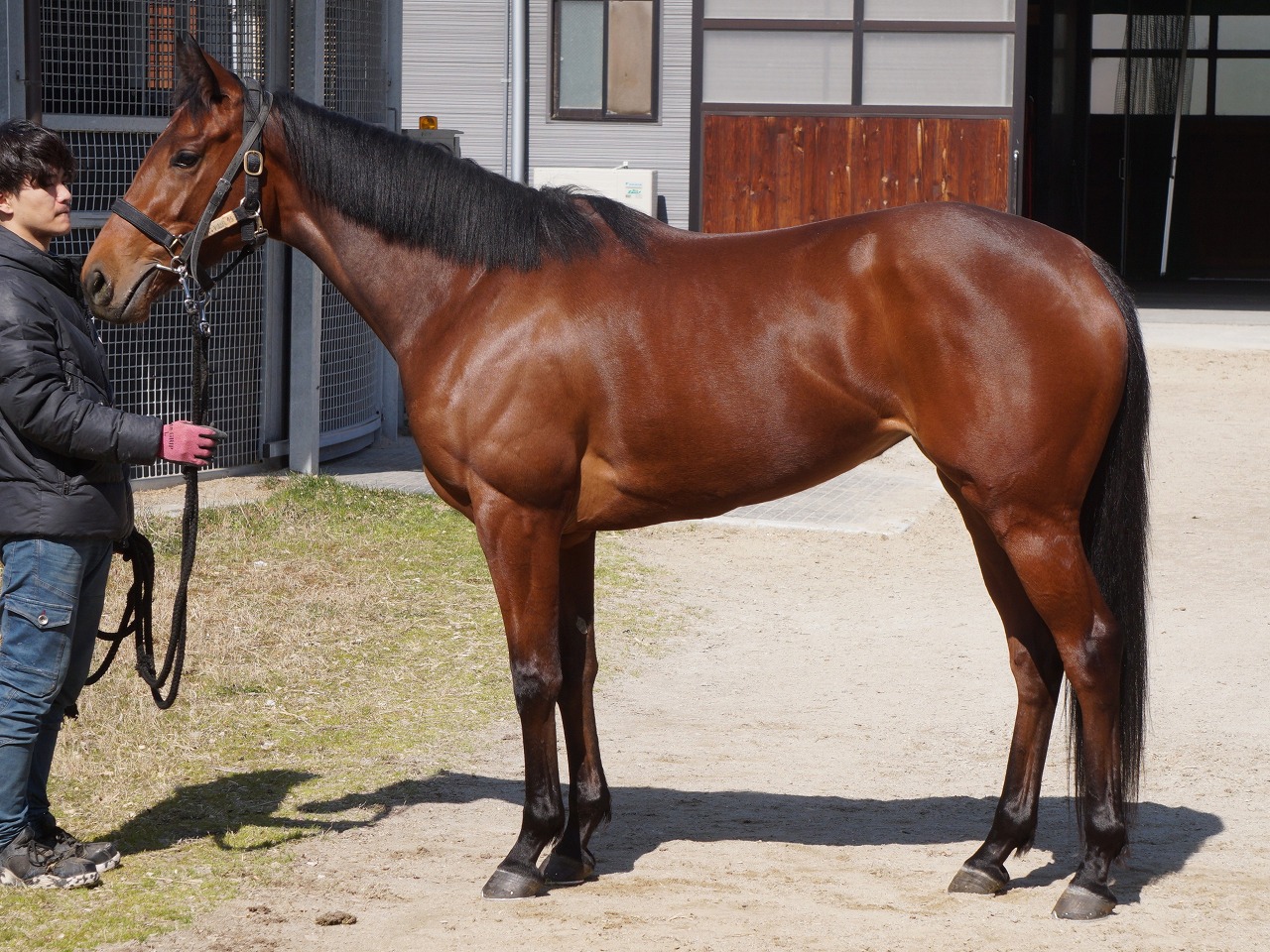 画像サムネイル