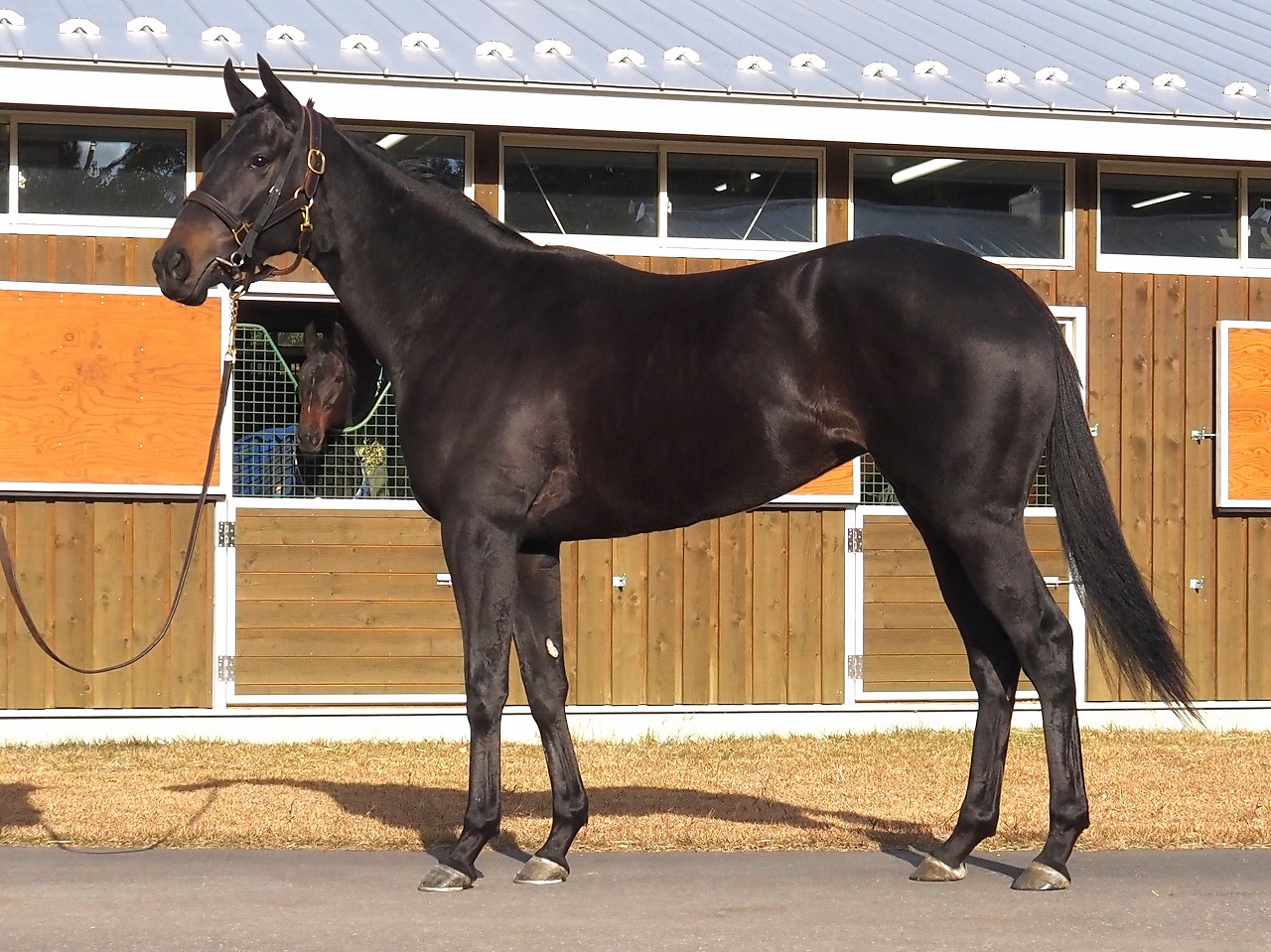 画像サムネイル