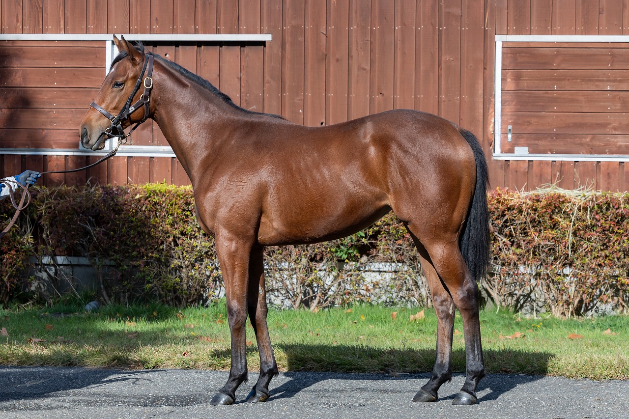 画像サムネイル