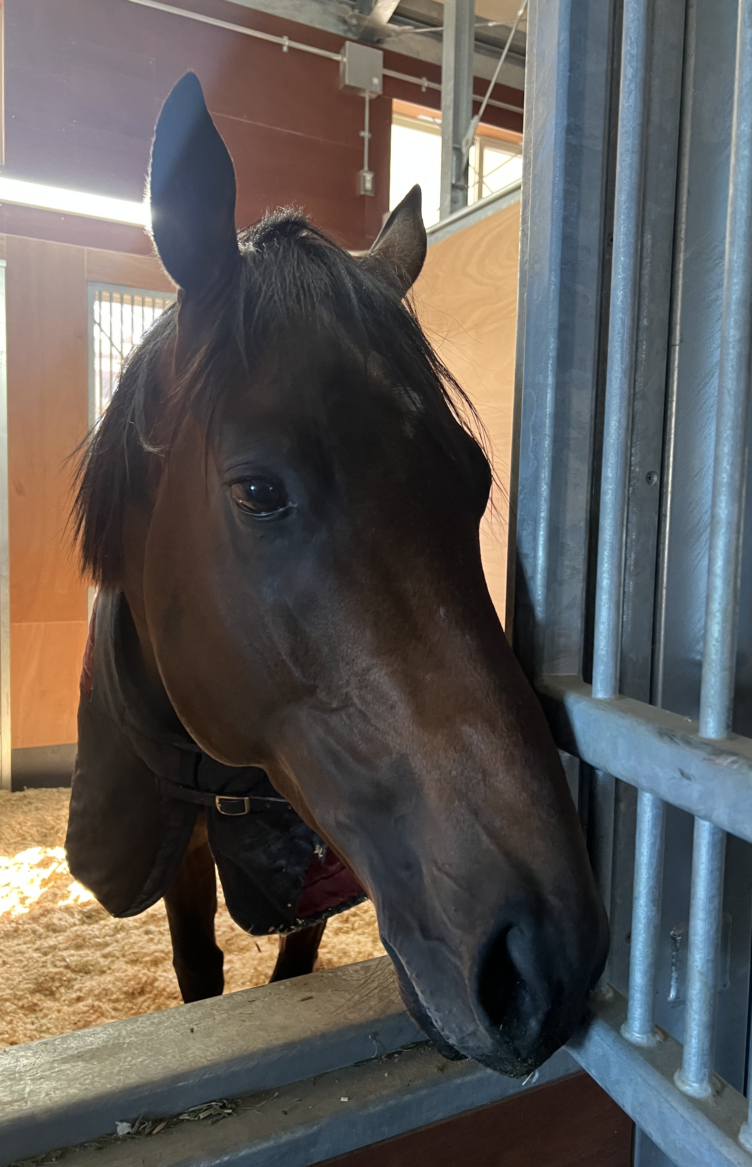 画像サムネイル