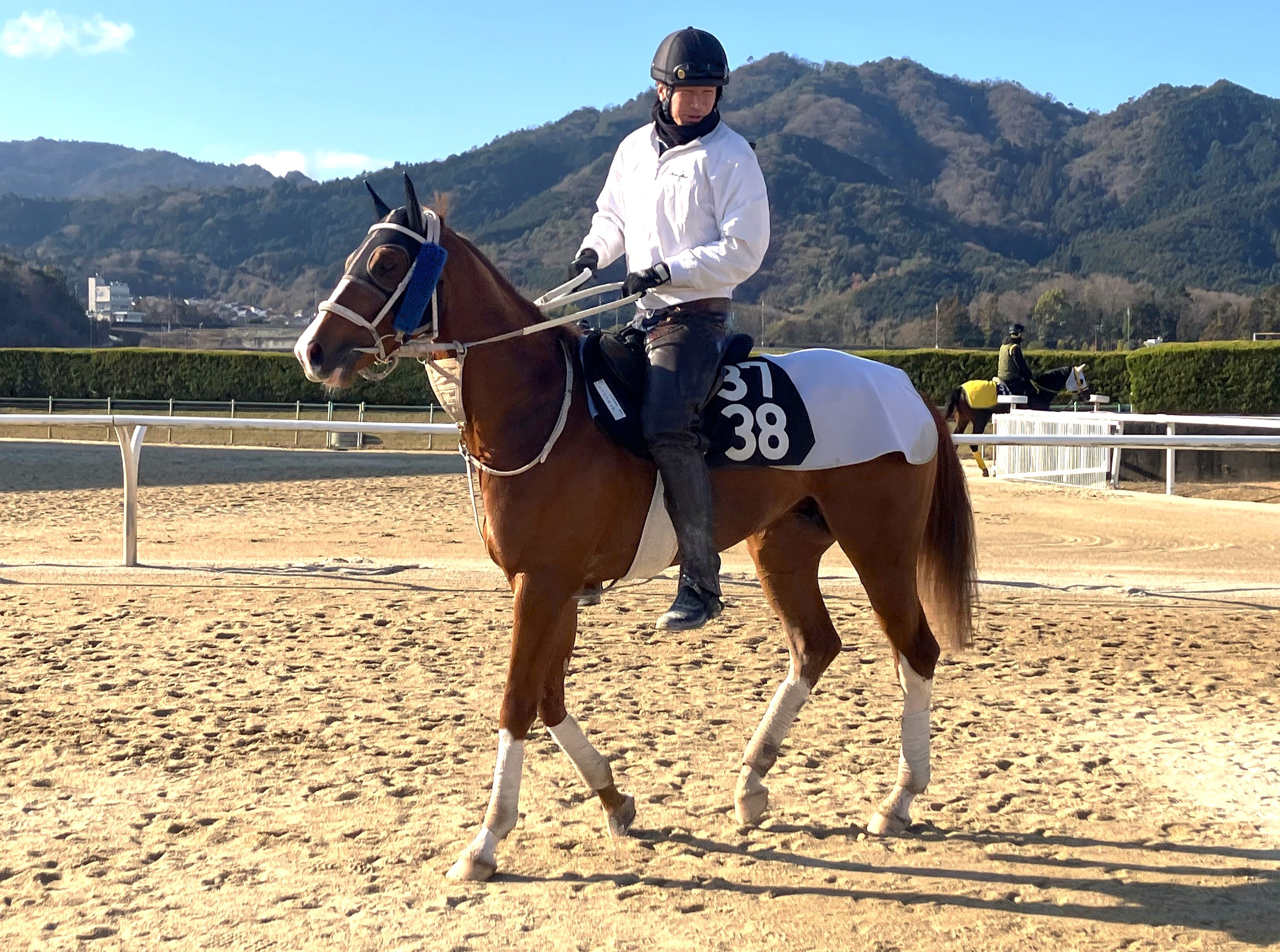 画像サムネイル