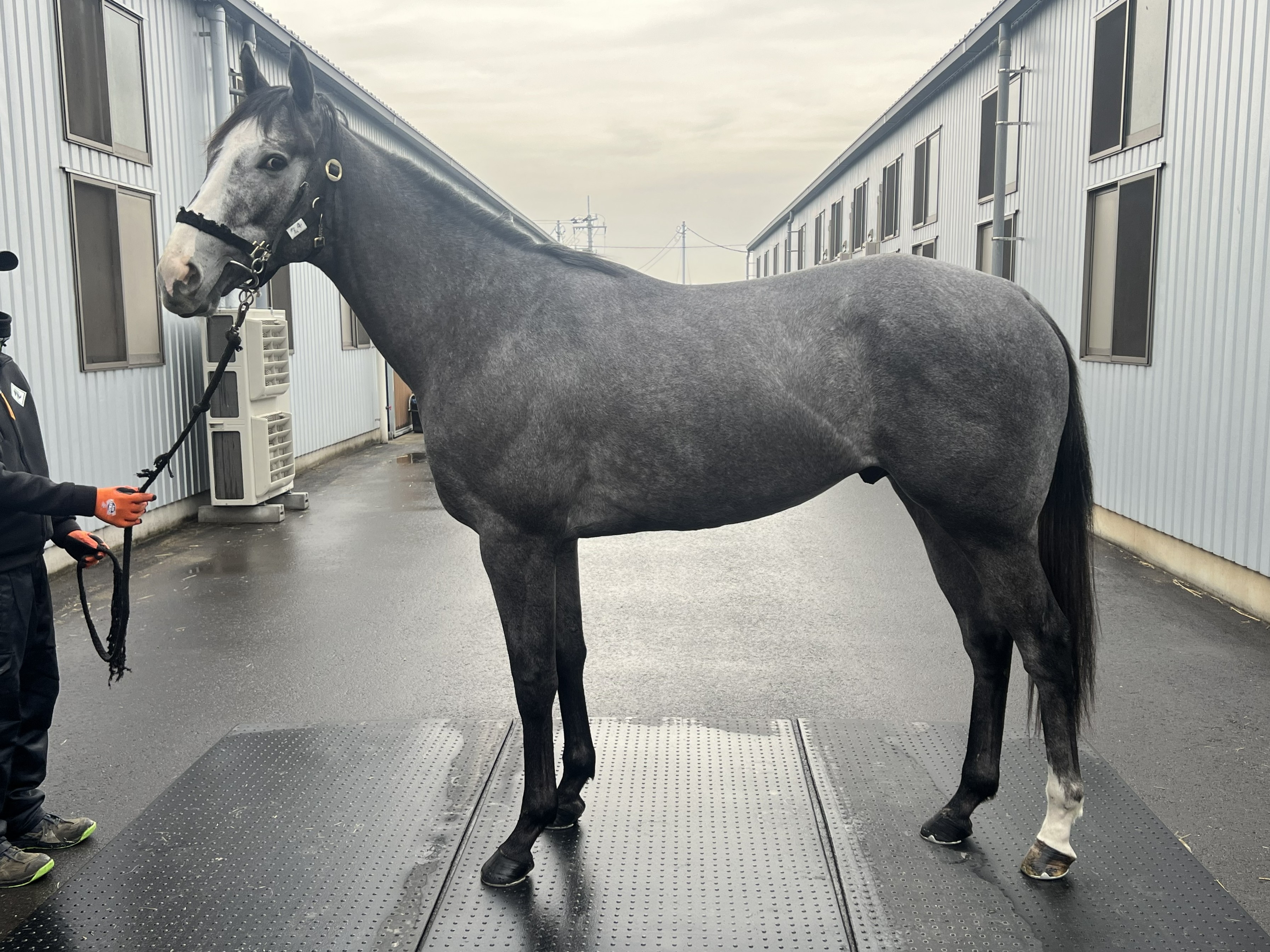 画像サムネイル