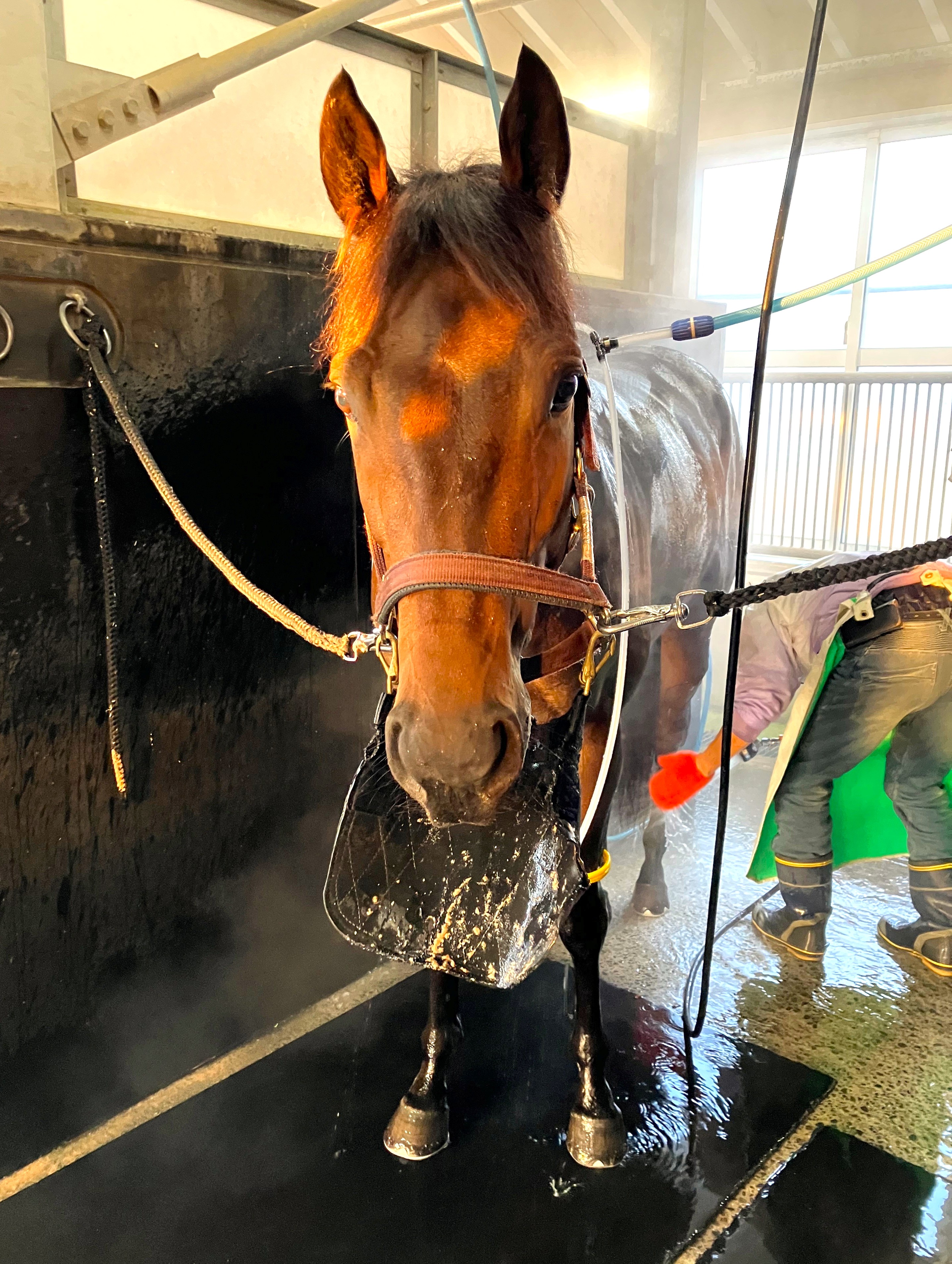 画像サムネイル