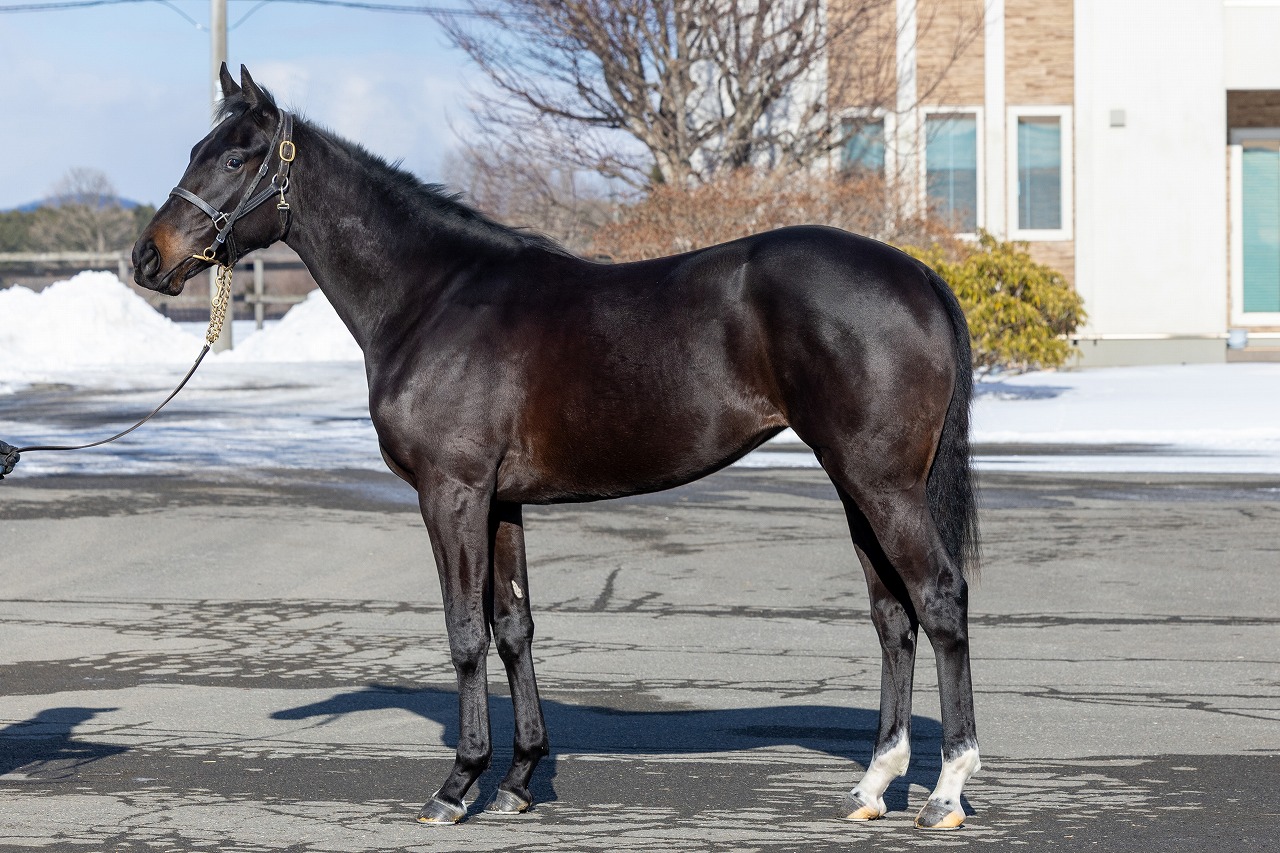 画像サムネイル