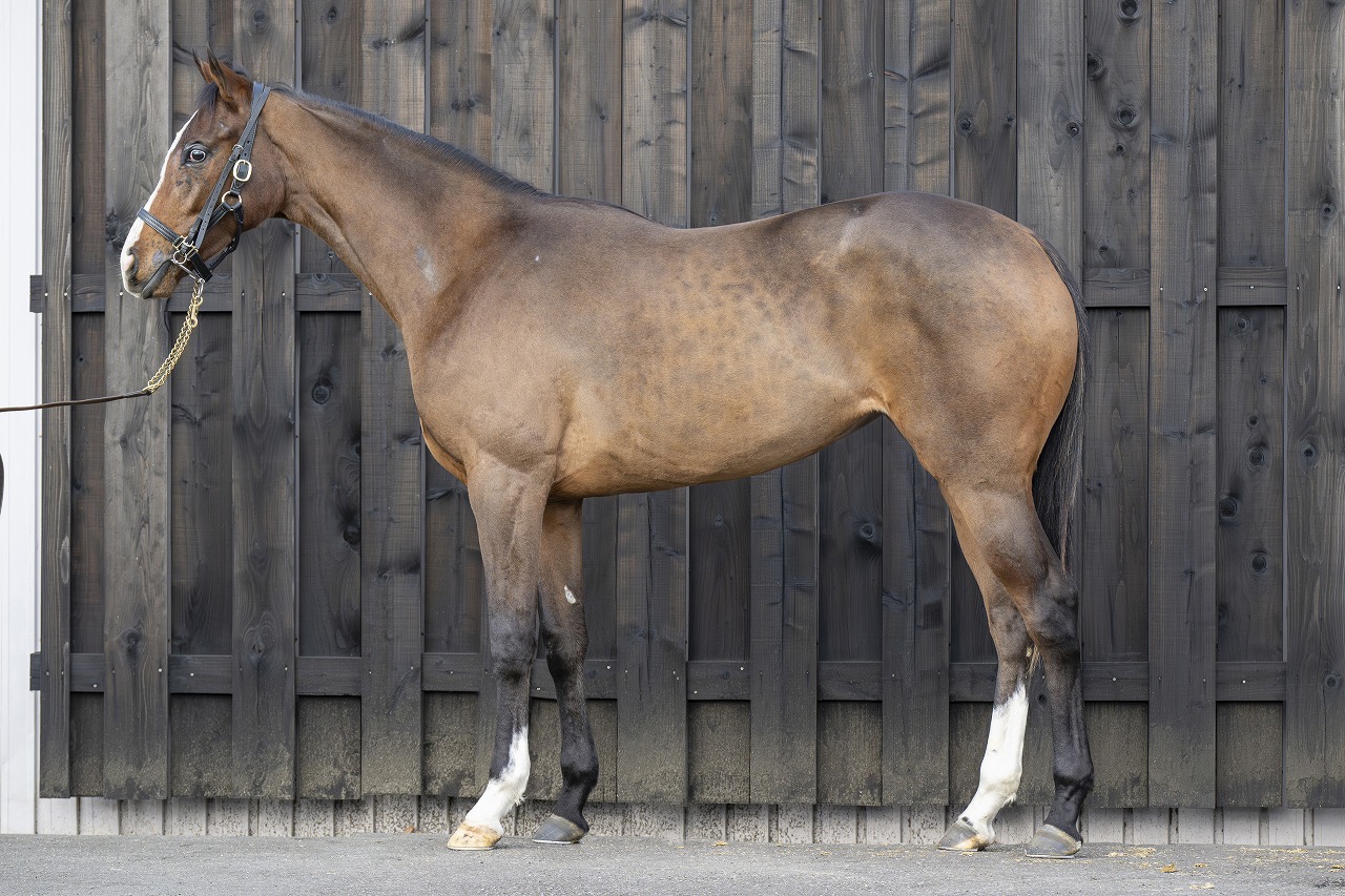 画像サムネイル