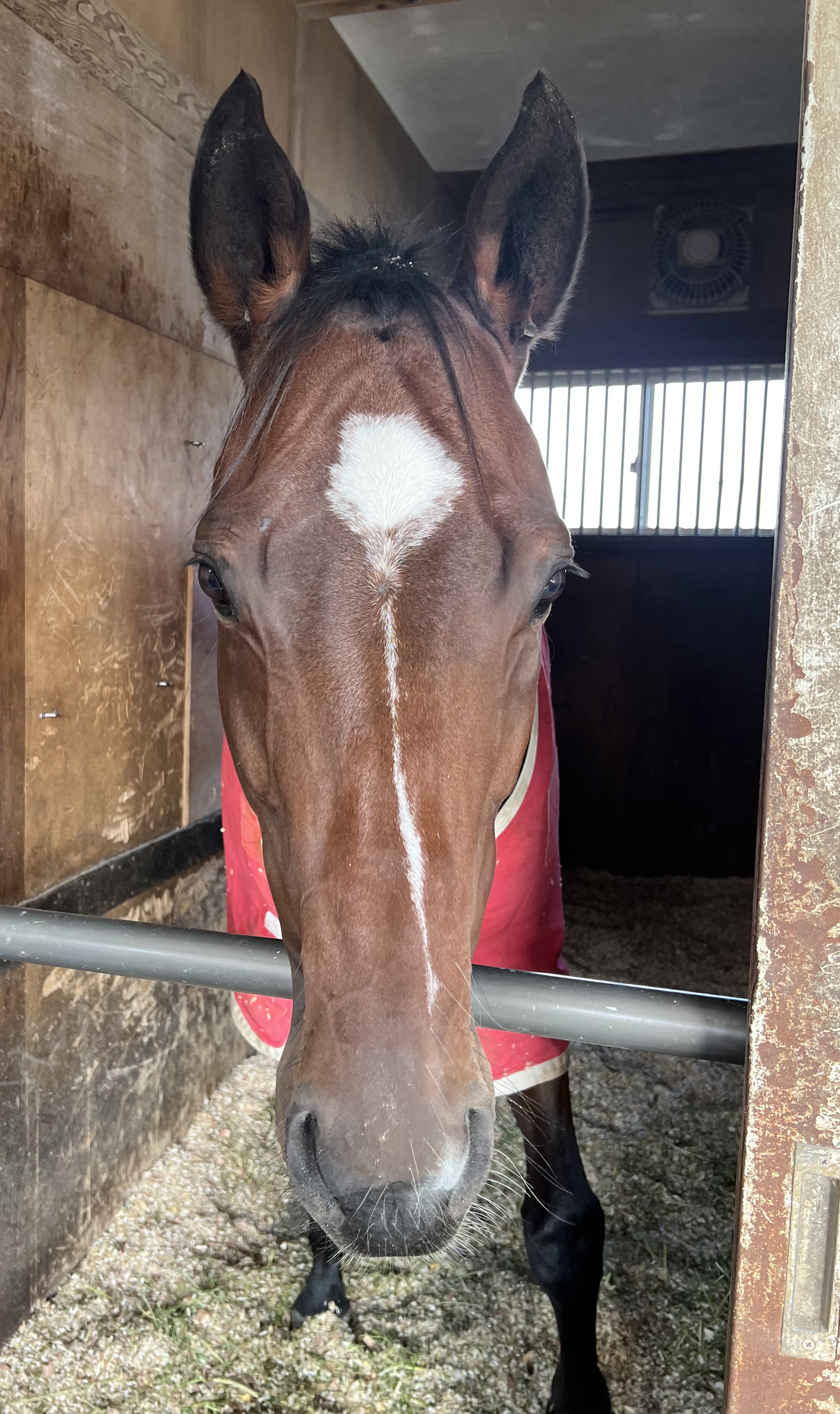 画像サムネイル