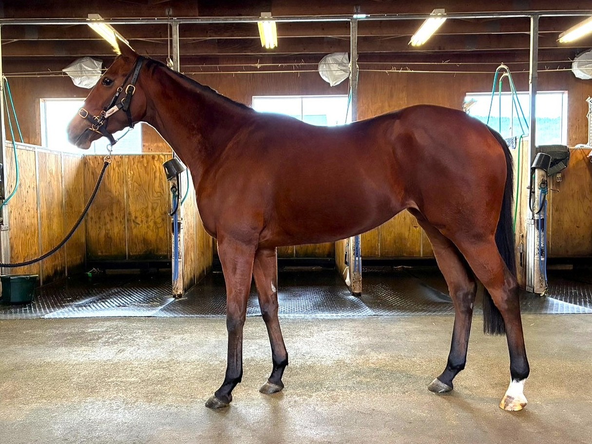 画像サムネイル