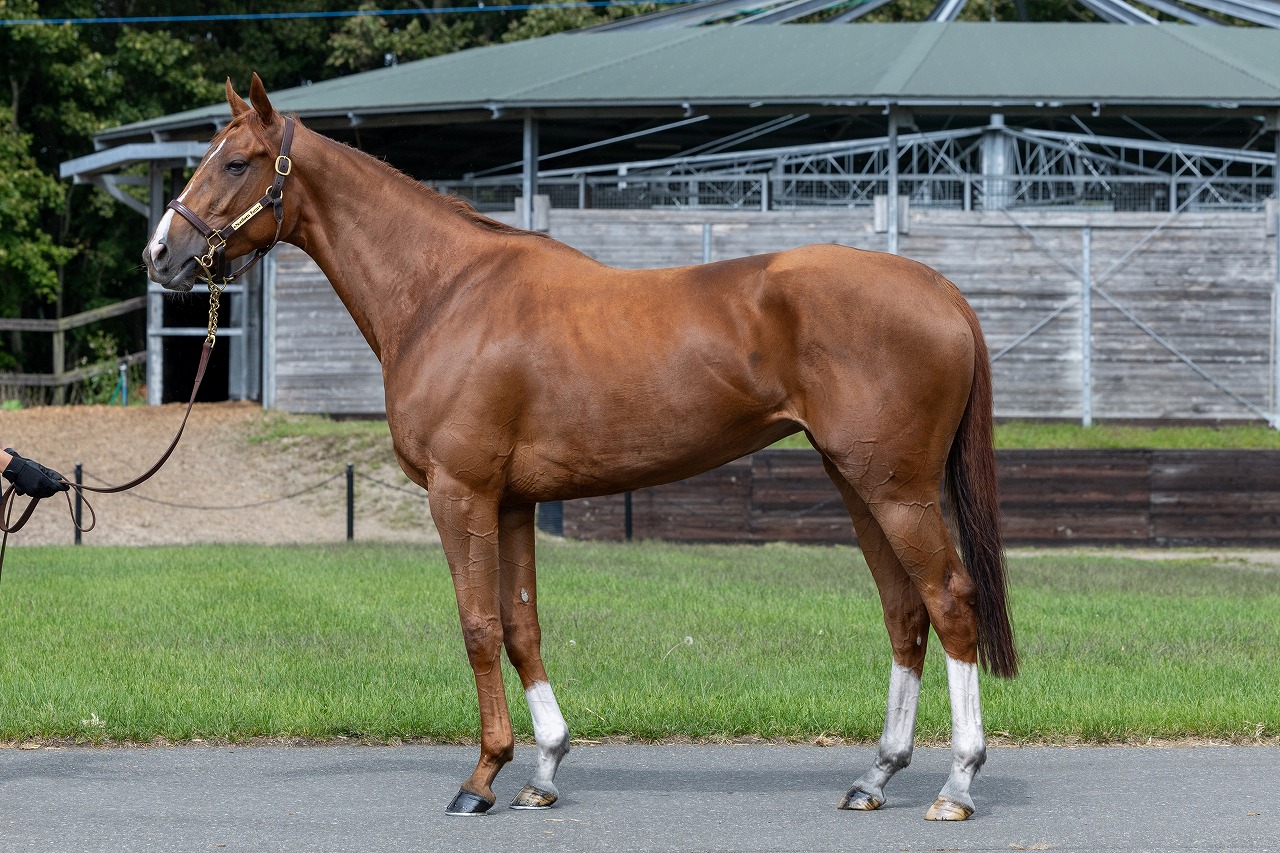 画像サムネイル