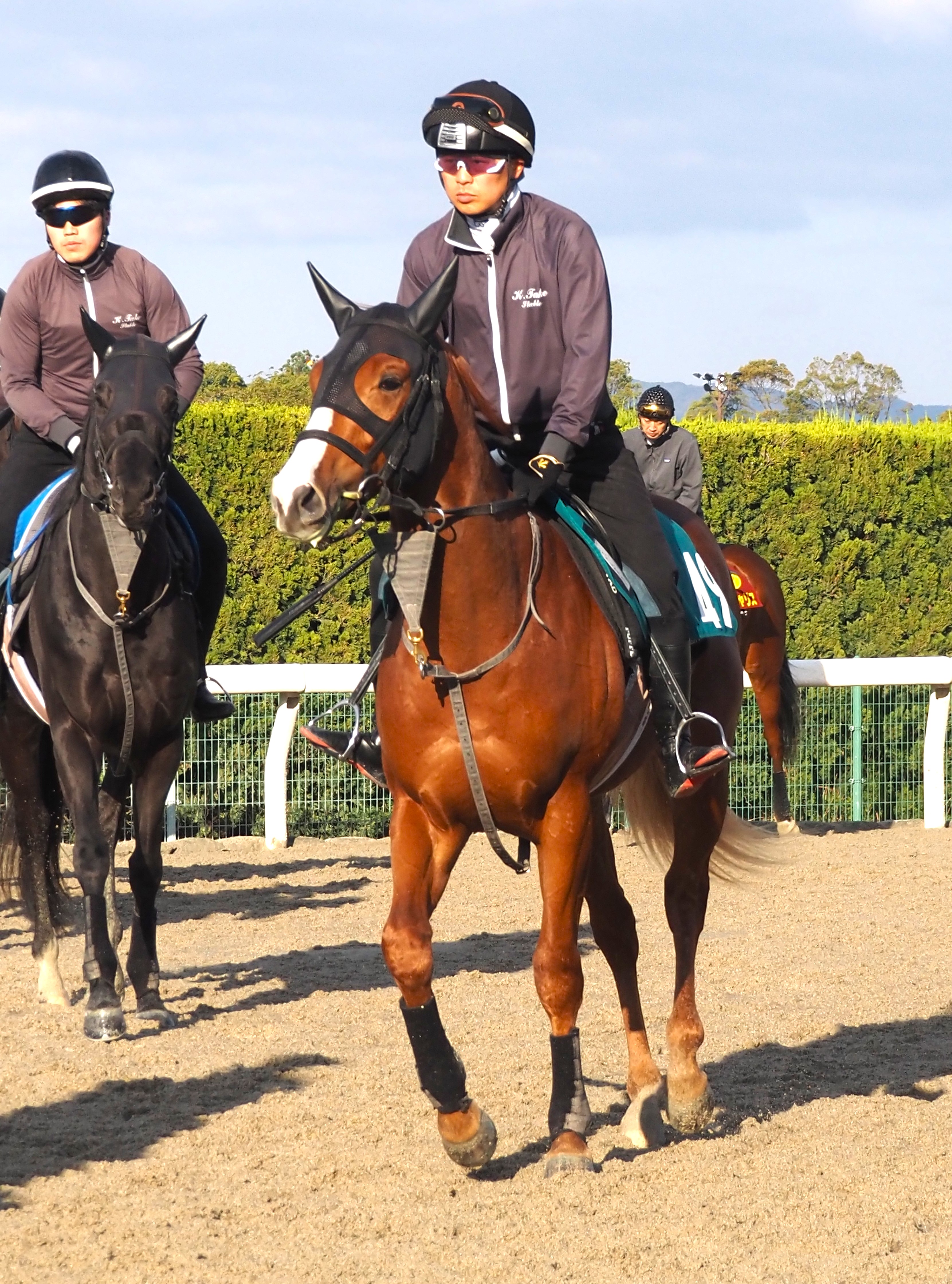 画像サムネイル