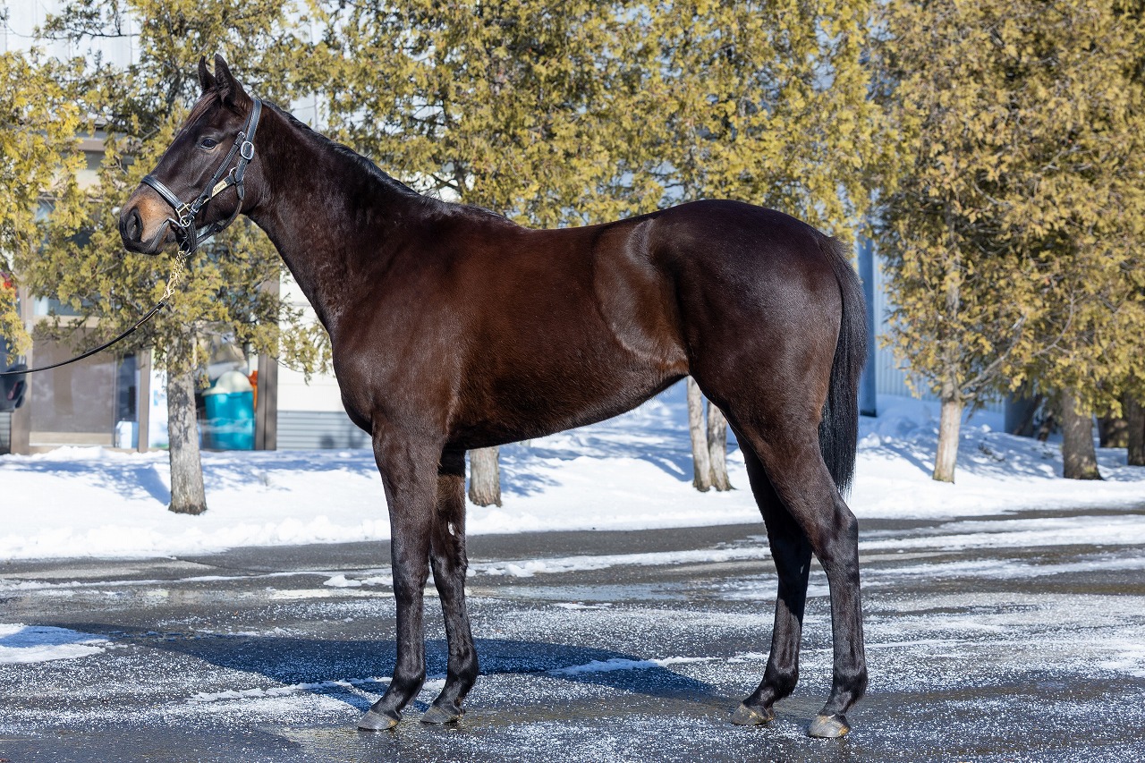 画像サムネイル