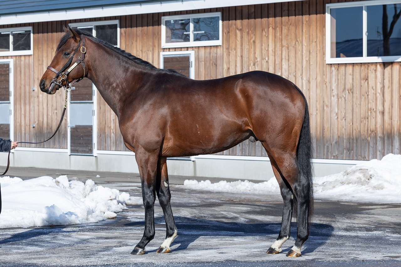 画像サムネイル