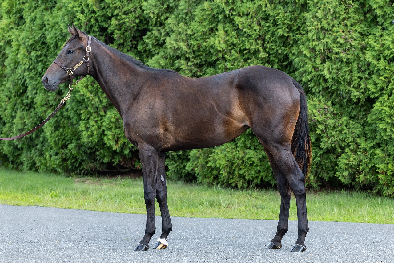 画像サムネイル