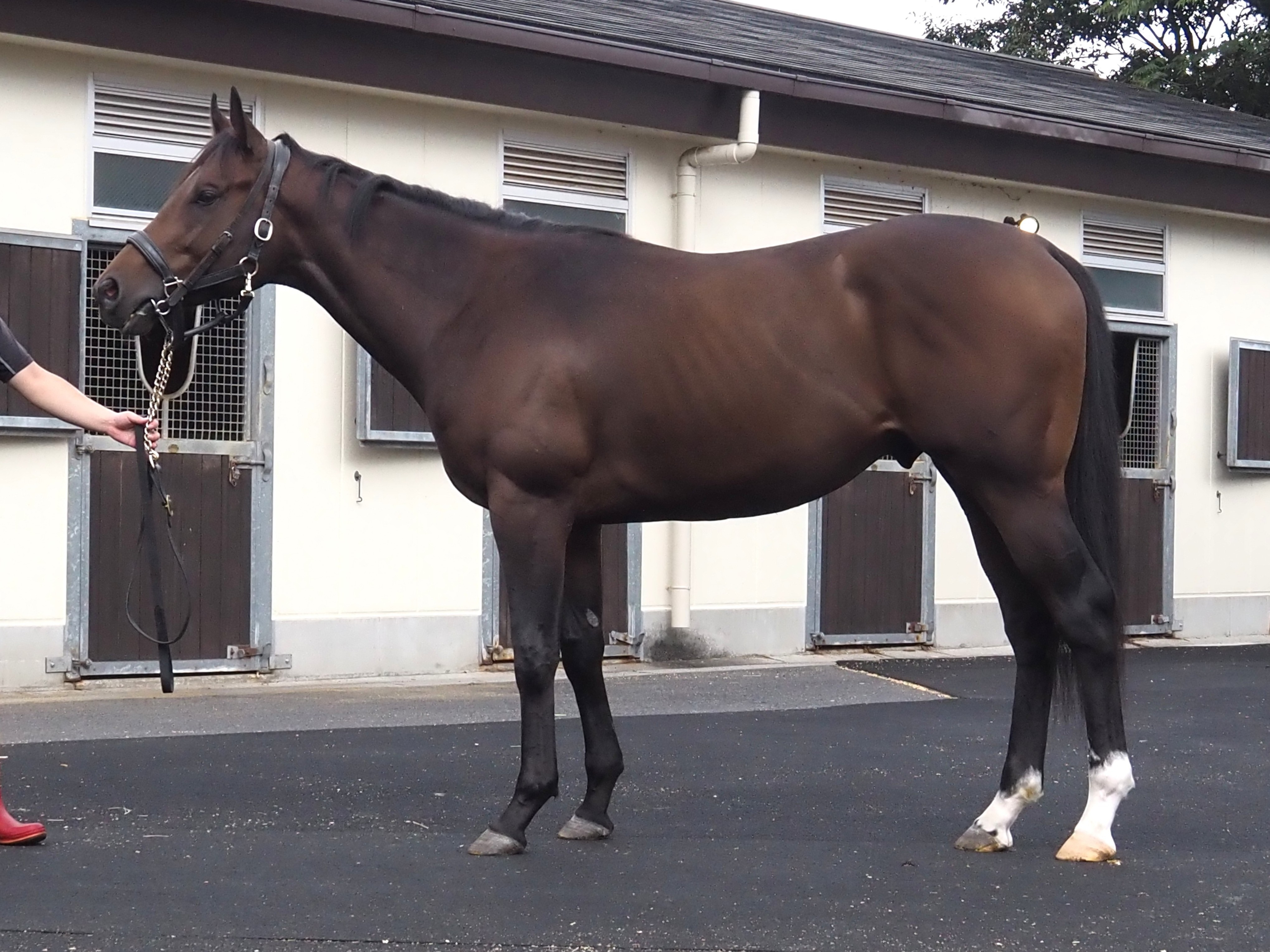 画像サムネイル