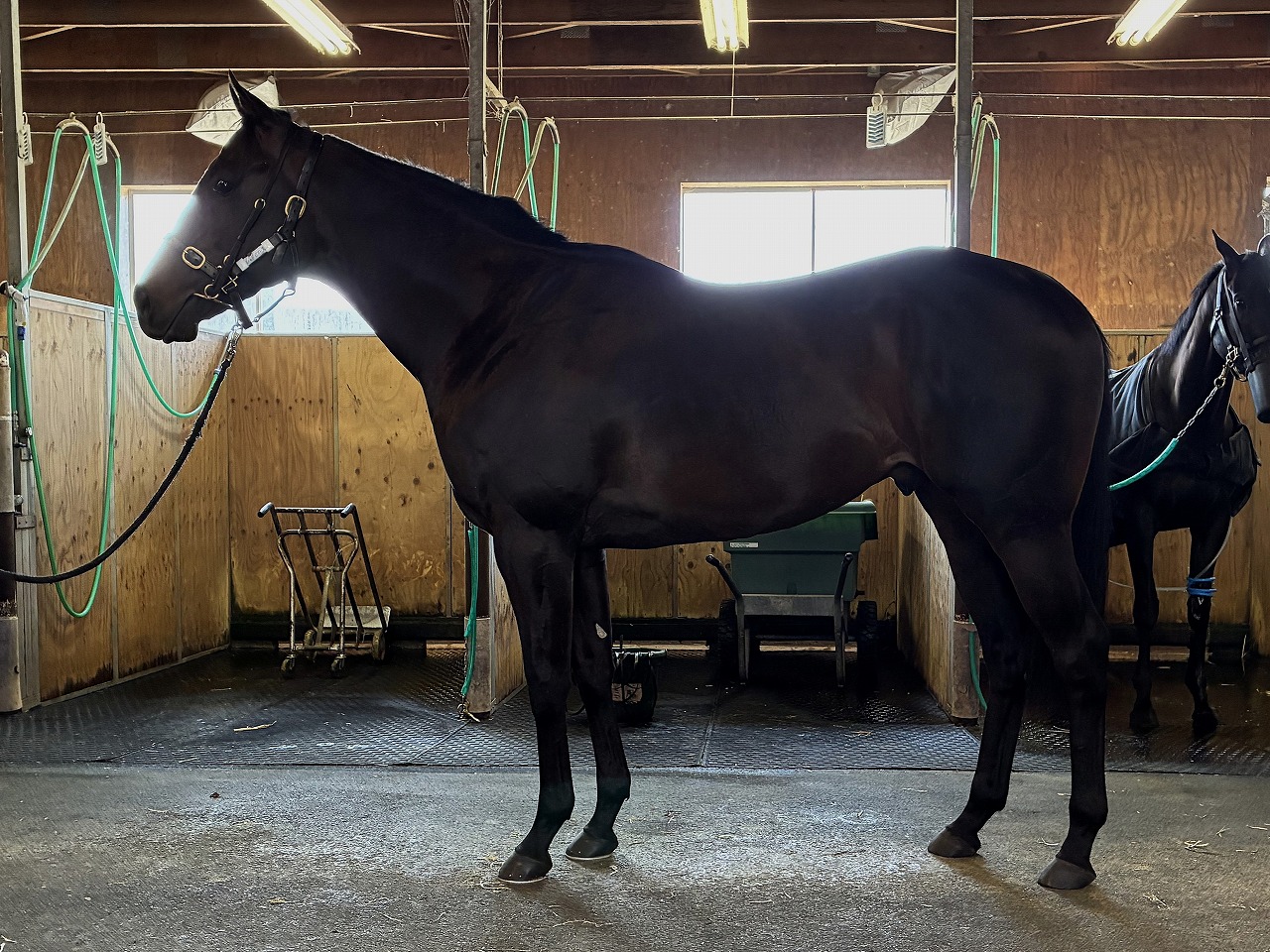 画像サムネイル