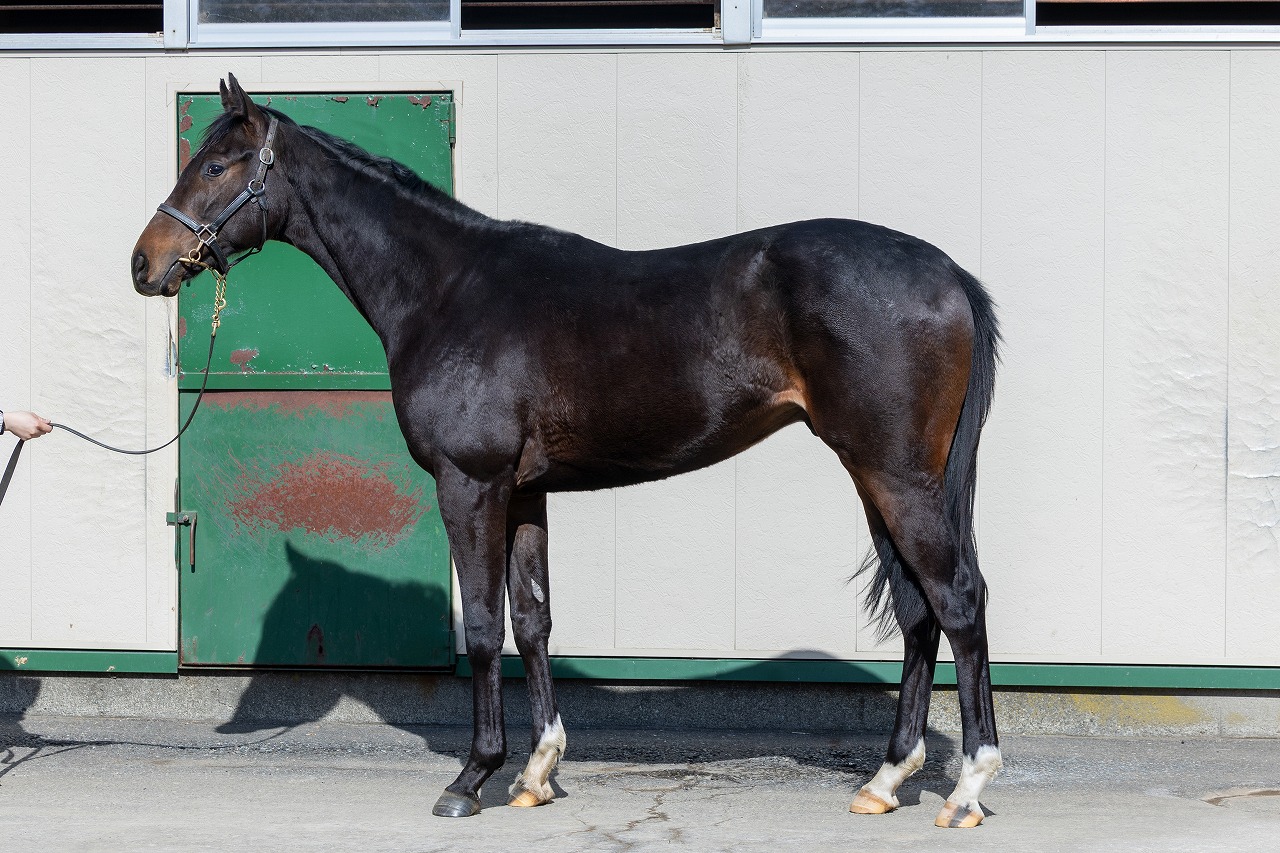 画像サムネイル