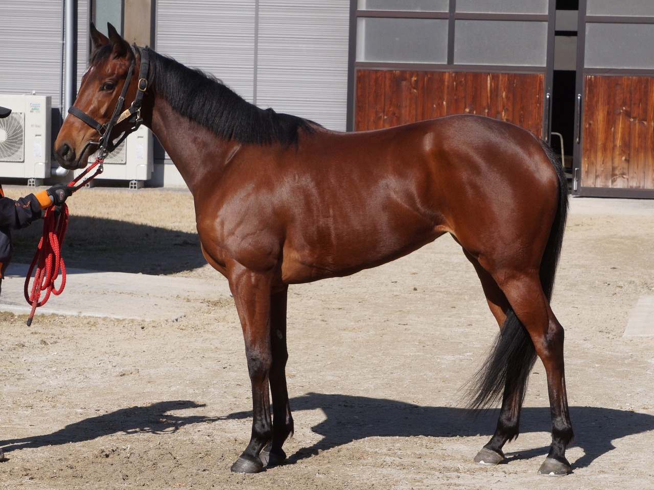 画像サムネイル