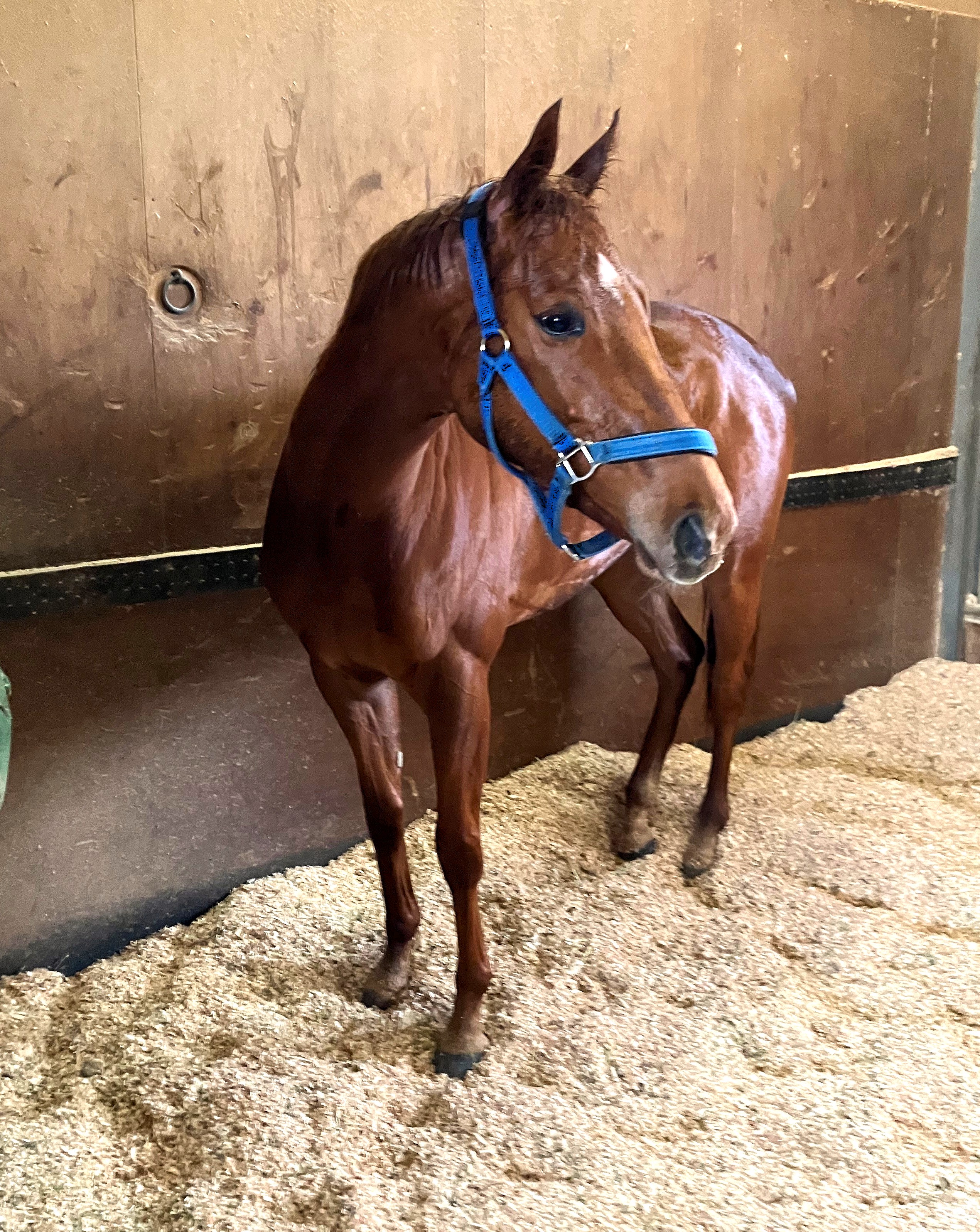 画像サムネイル