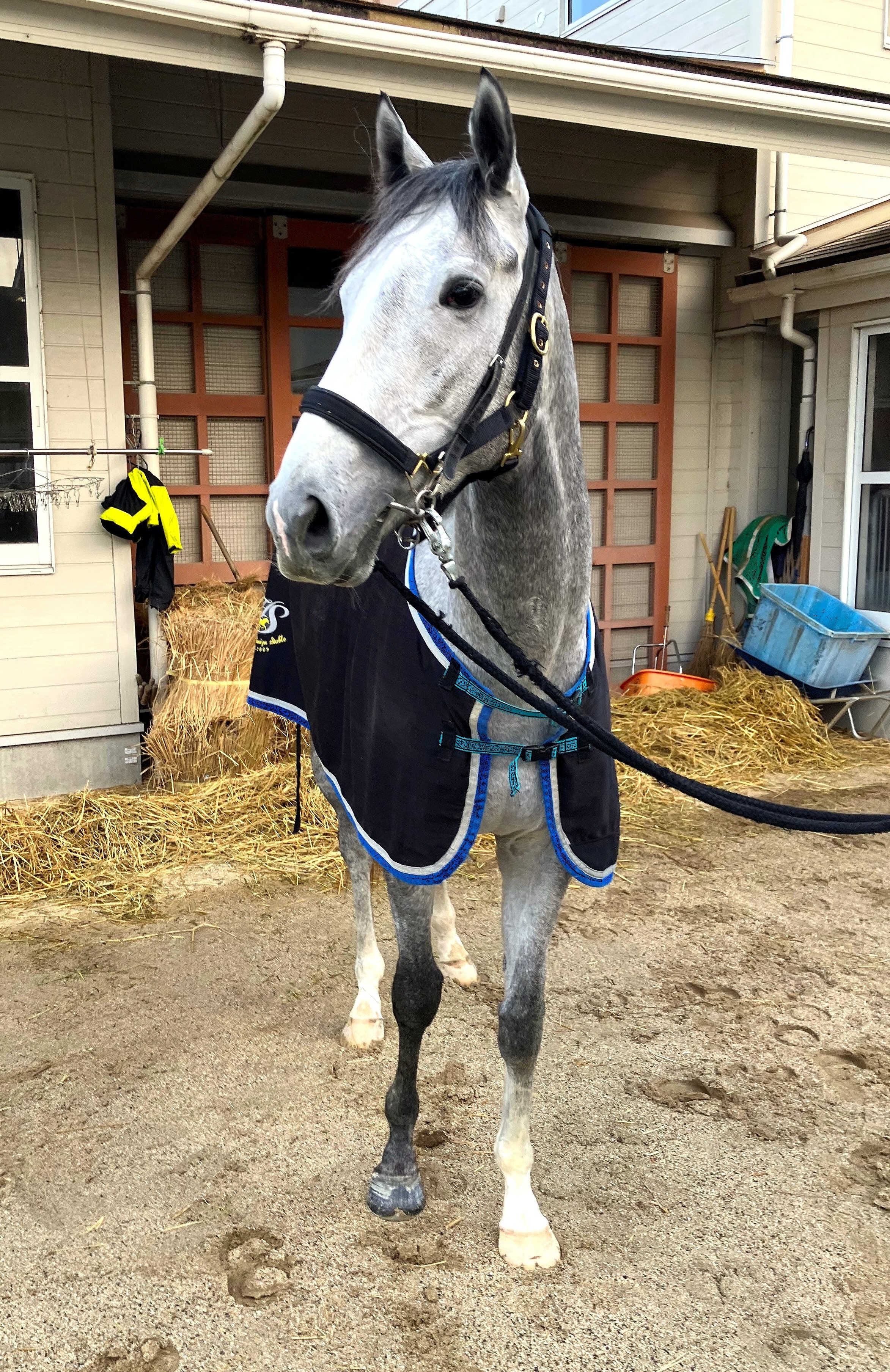 画像サムネイル