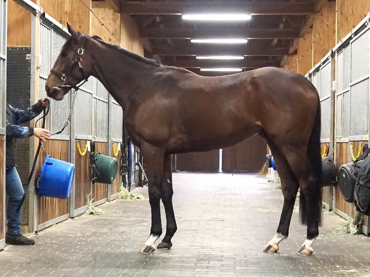 画像サムネイル