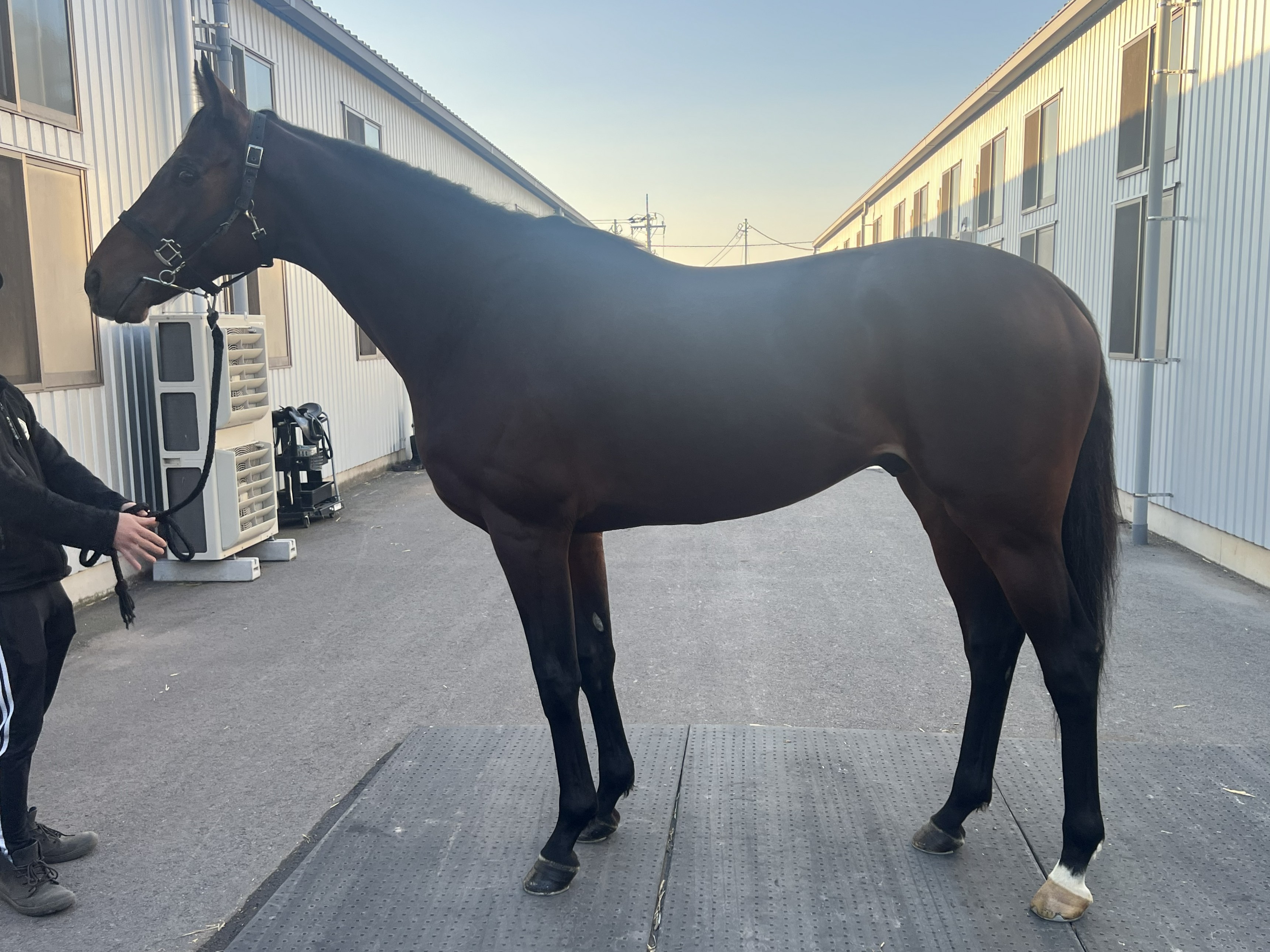 画像サムネイル