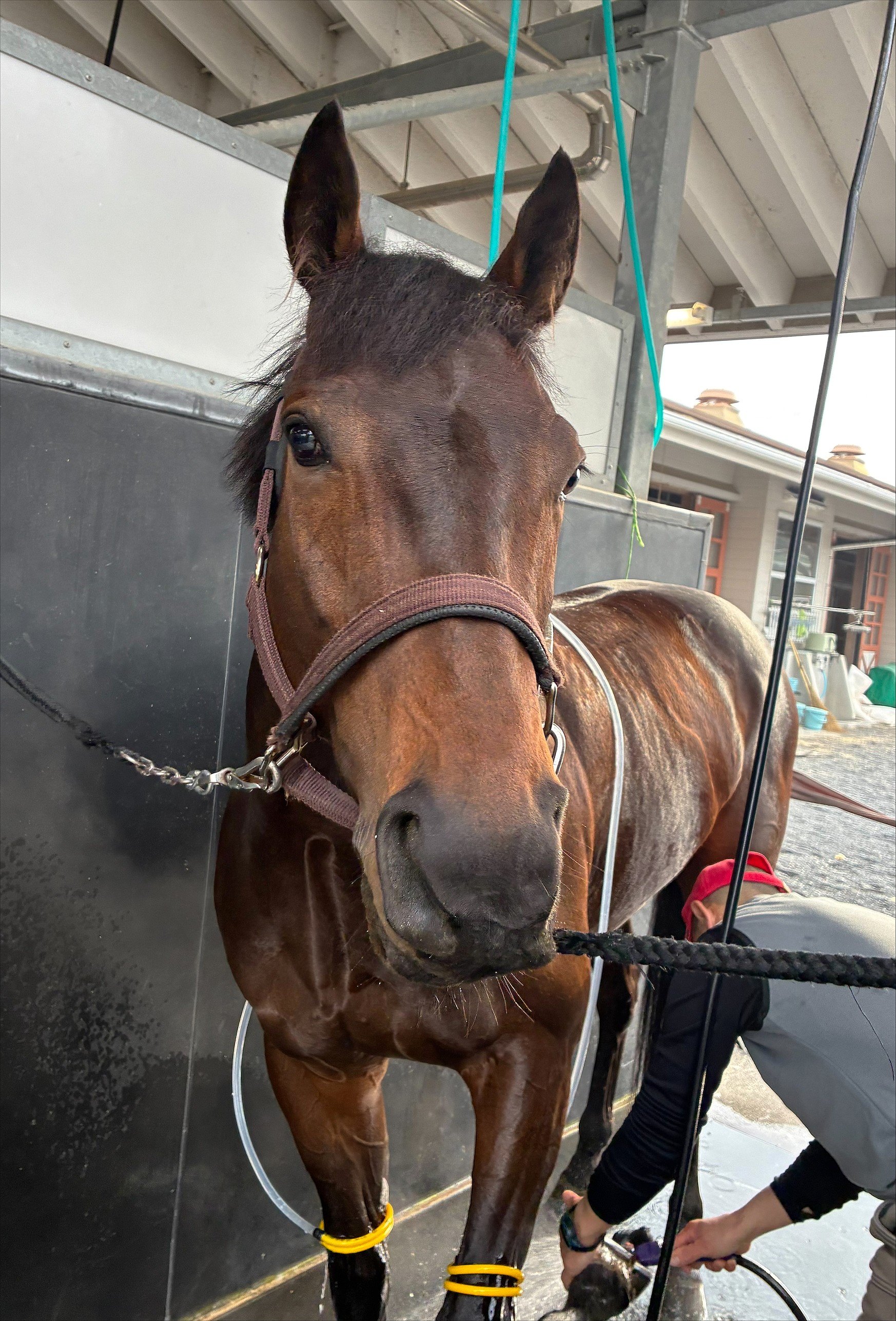 画像サムネイル