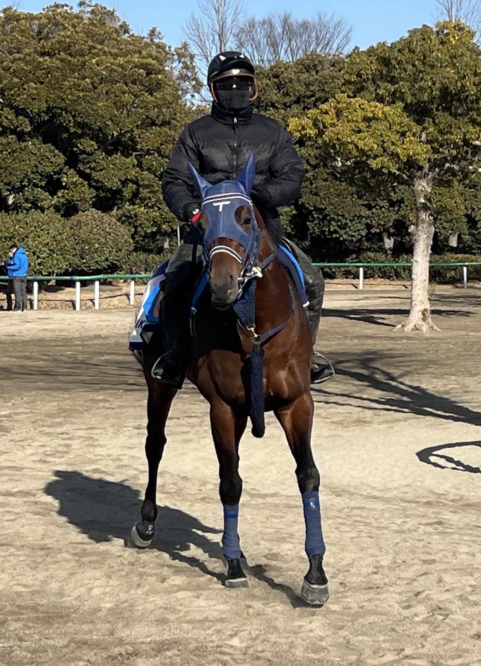 画像サムネイル