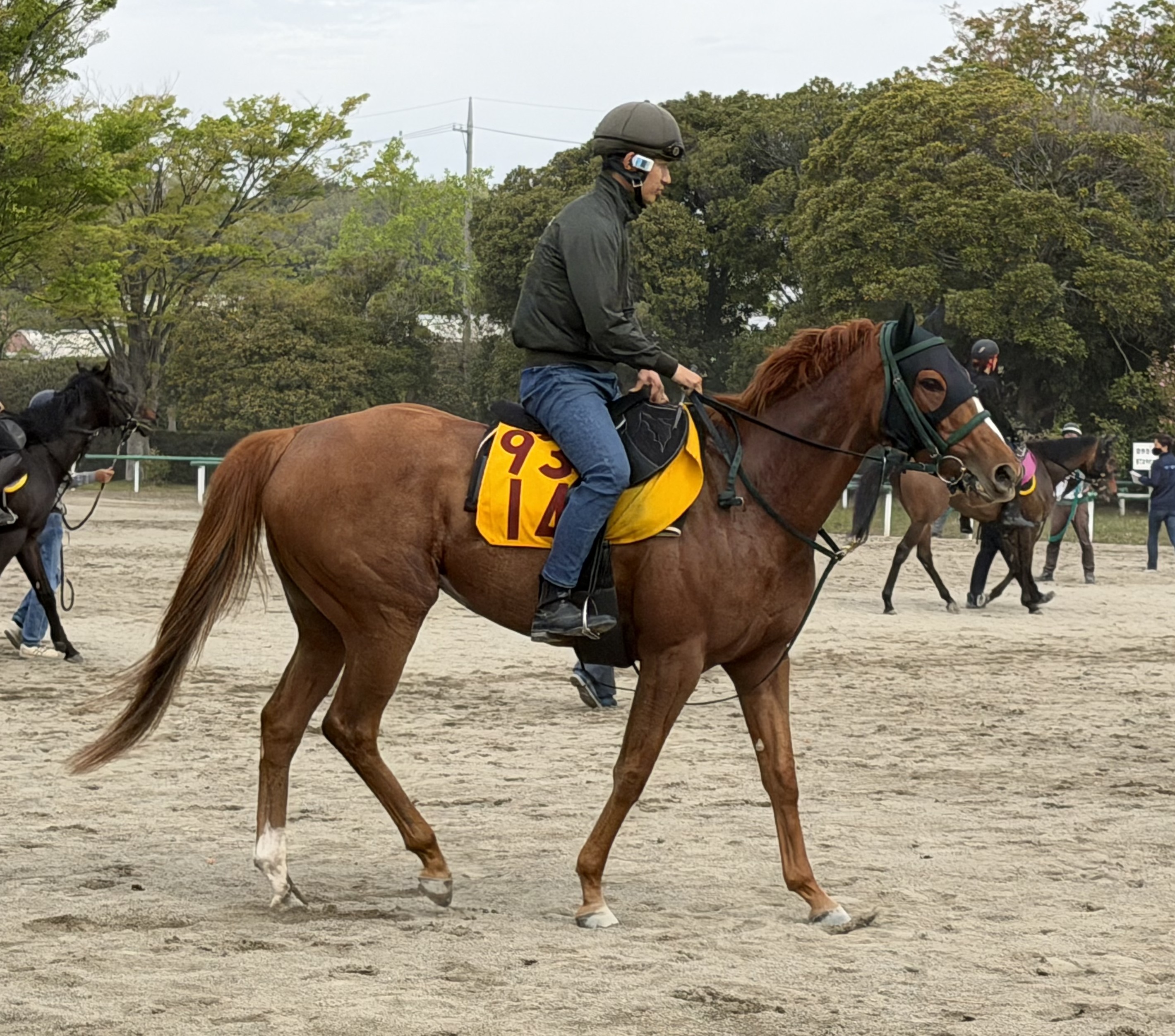 画像サムネイル