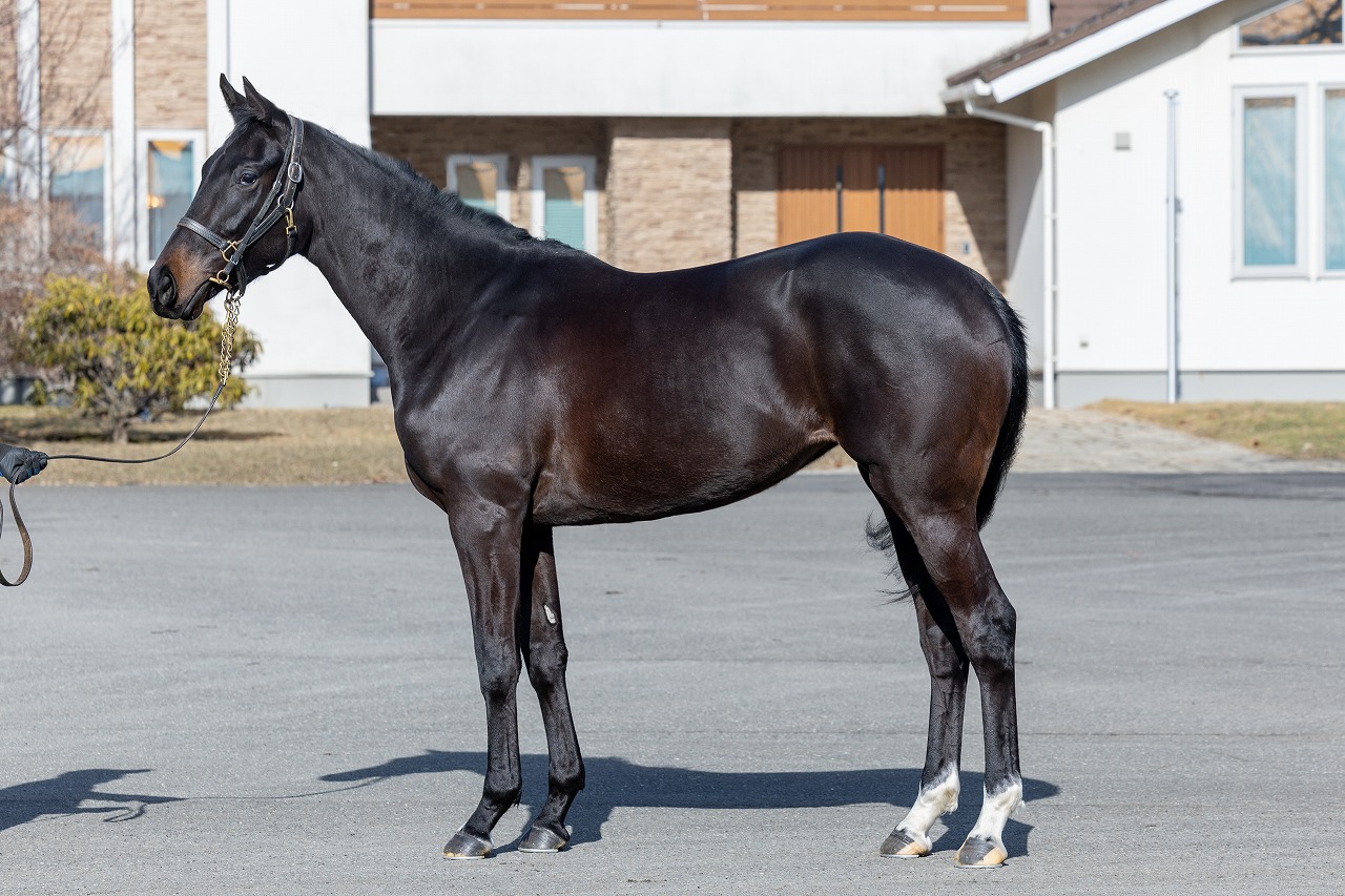 画像サムネイル