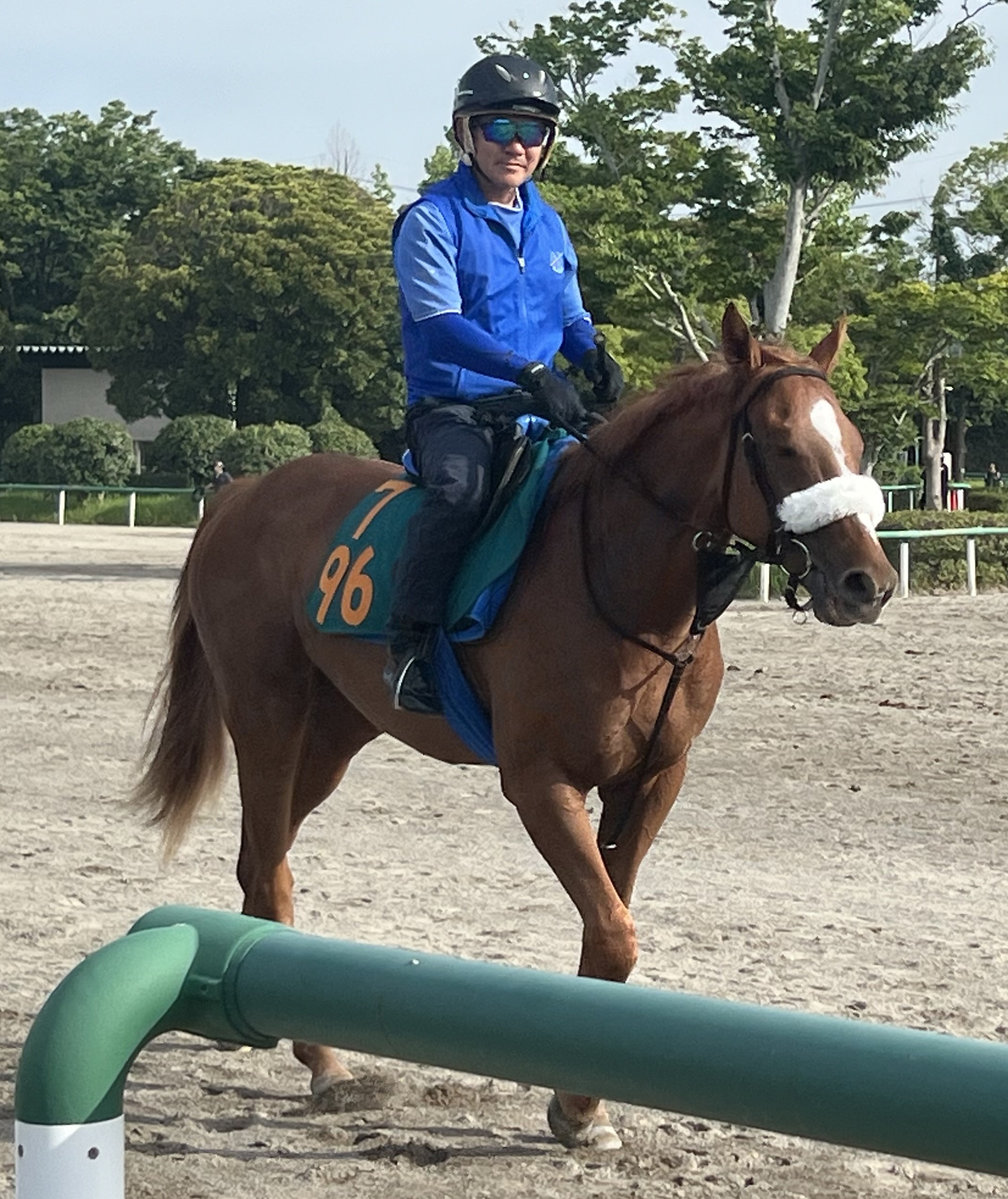 画像サムネイル