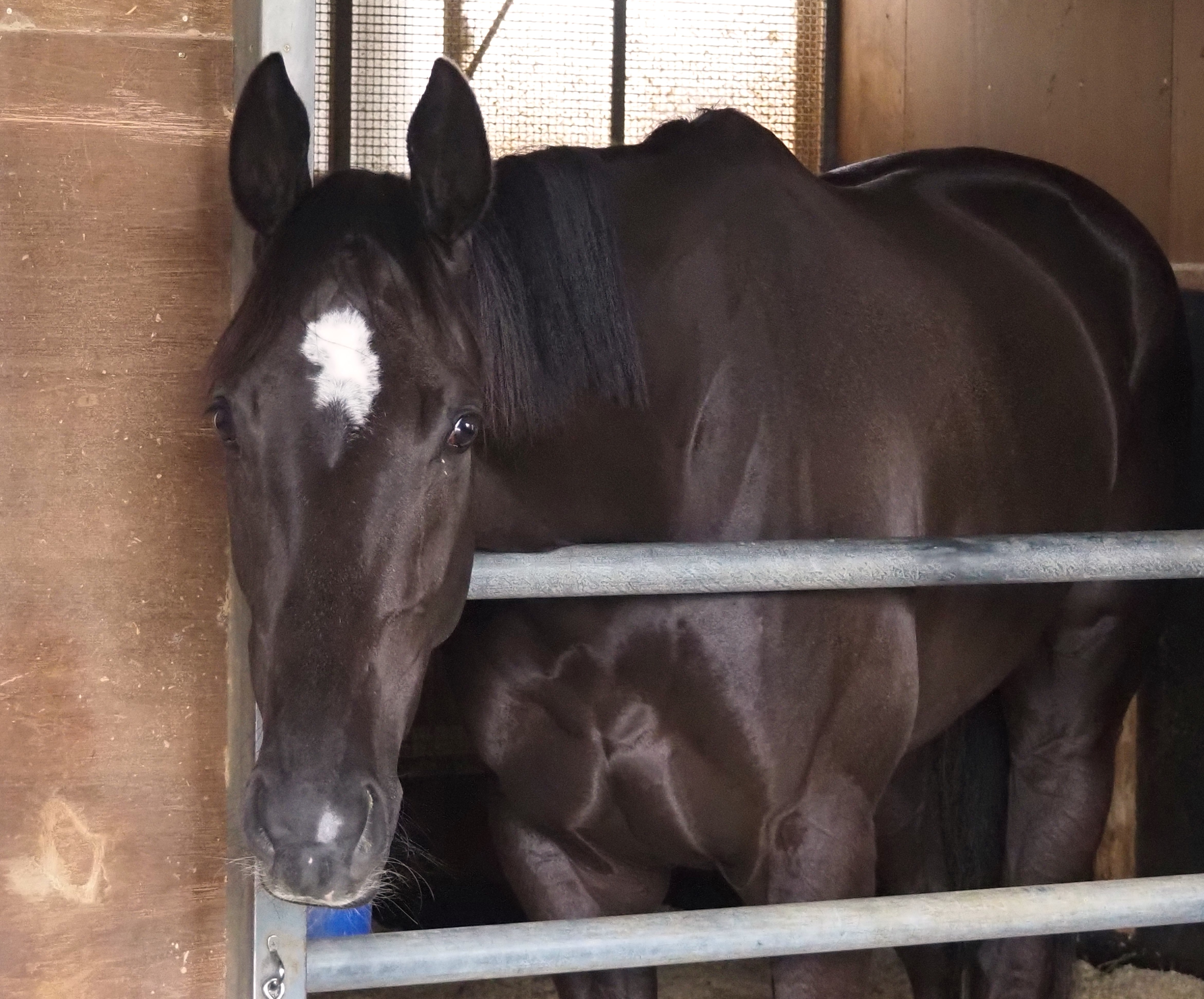 画像サムネイル